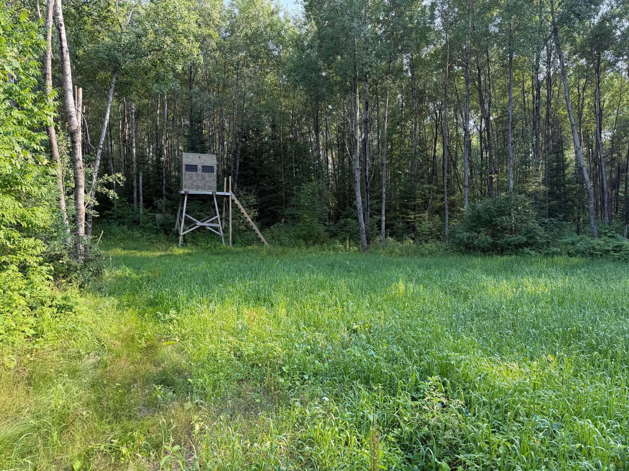 main property photo 48