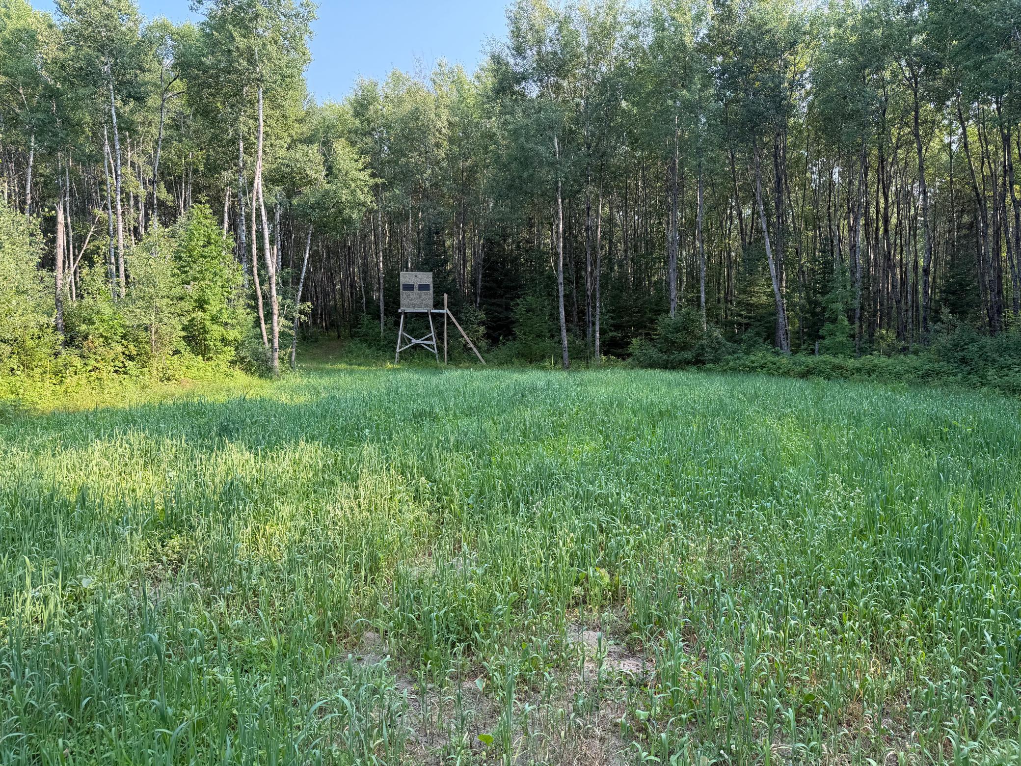 main property photo 49