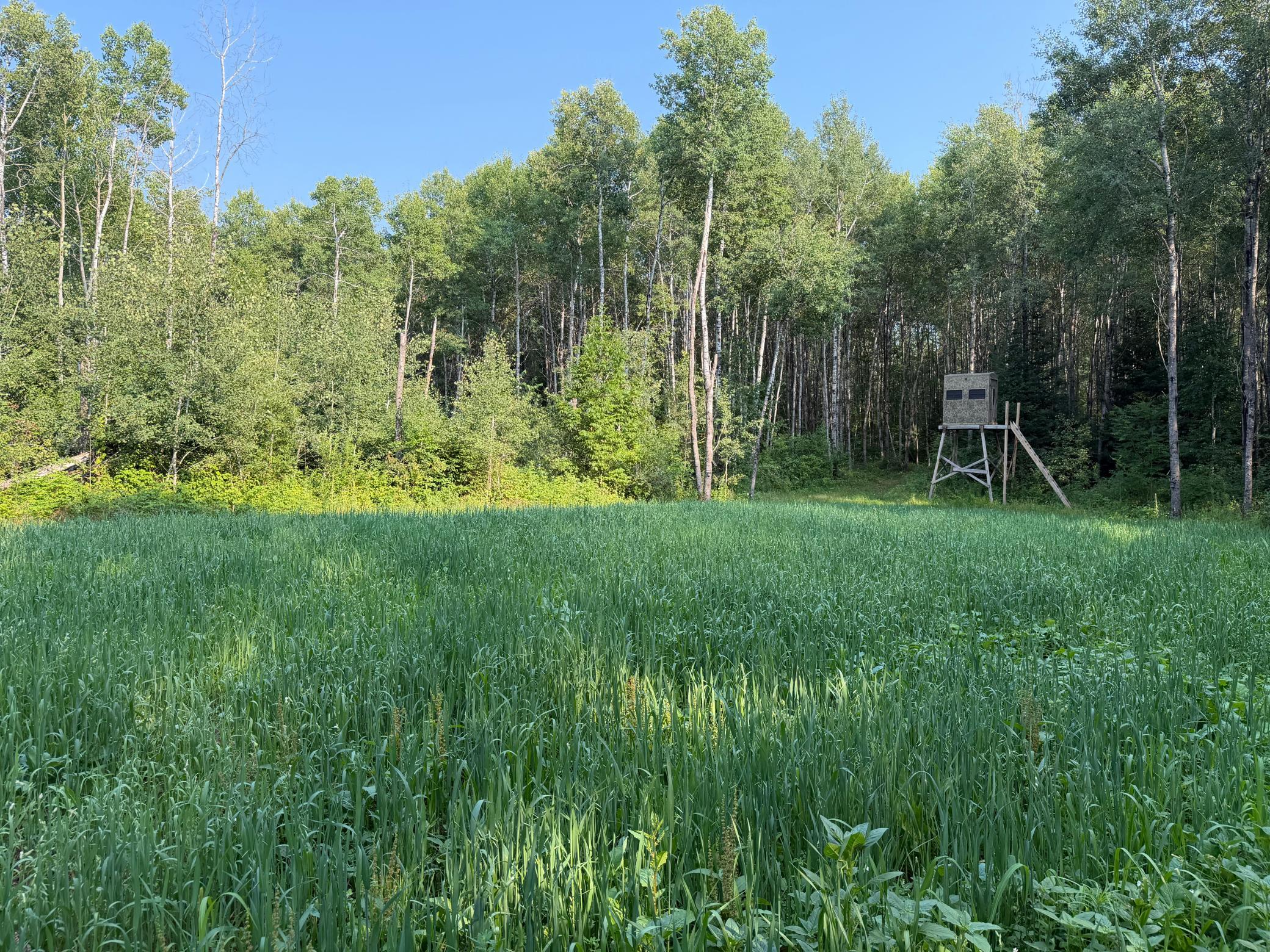 main property photo 50