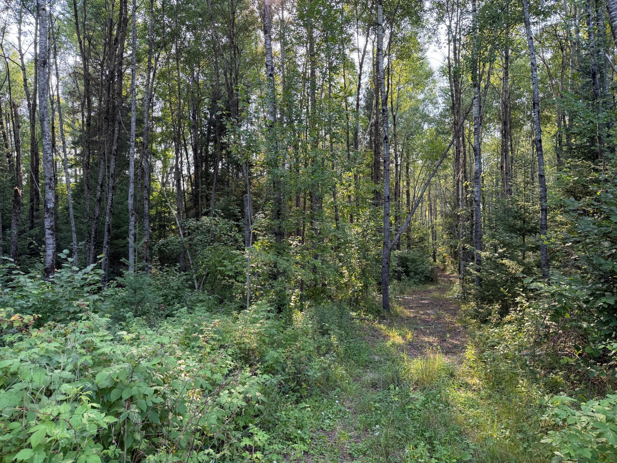 main property photo 51