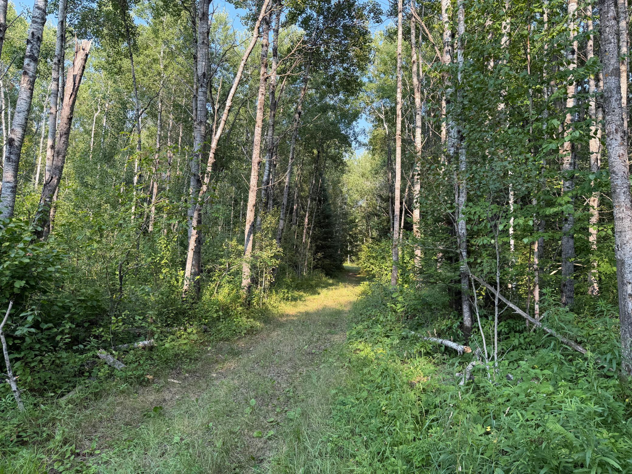 main property photo 52