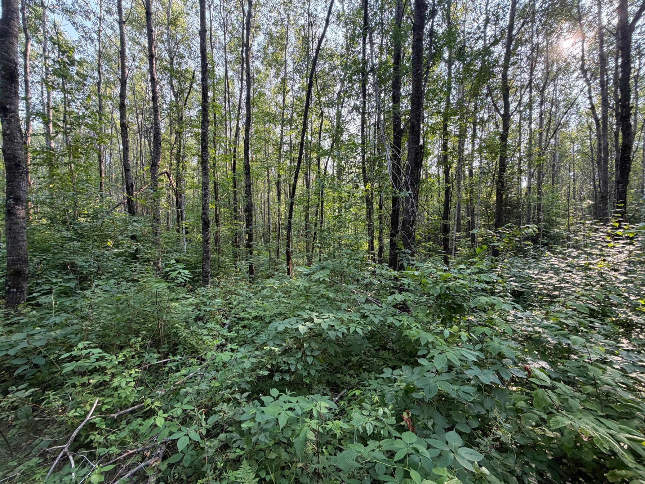 main property photo 53