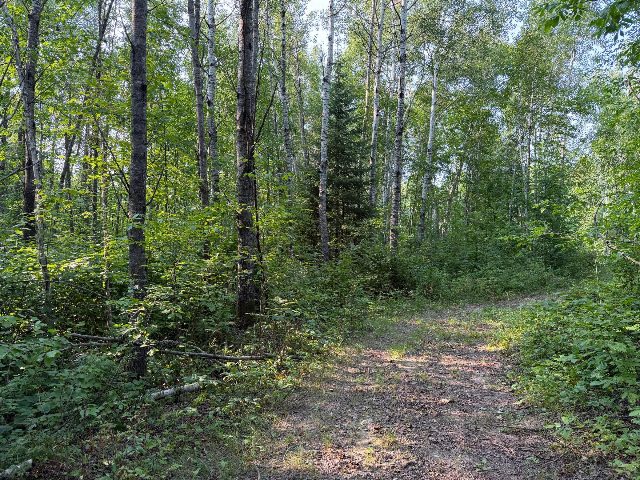 main property photo 55