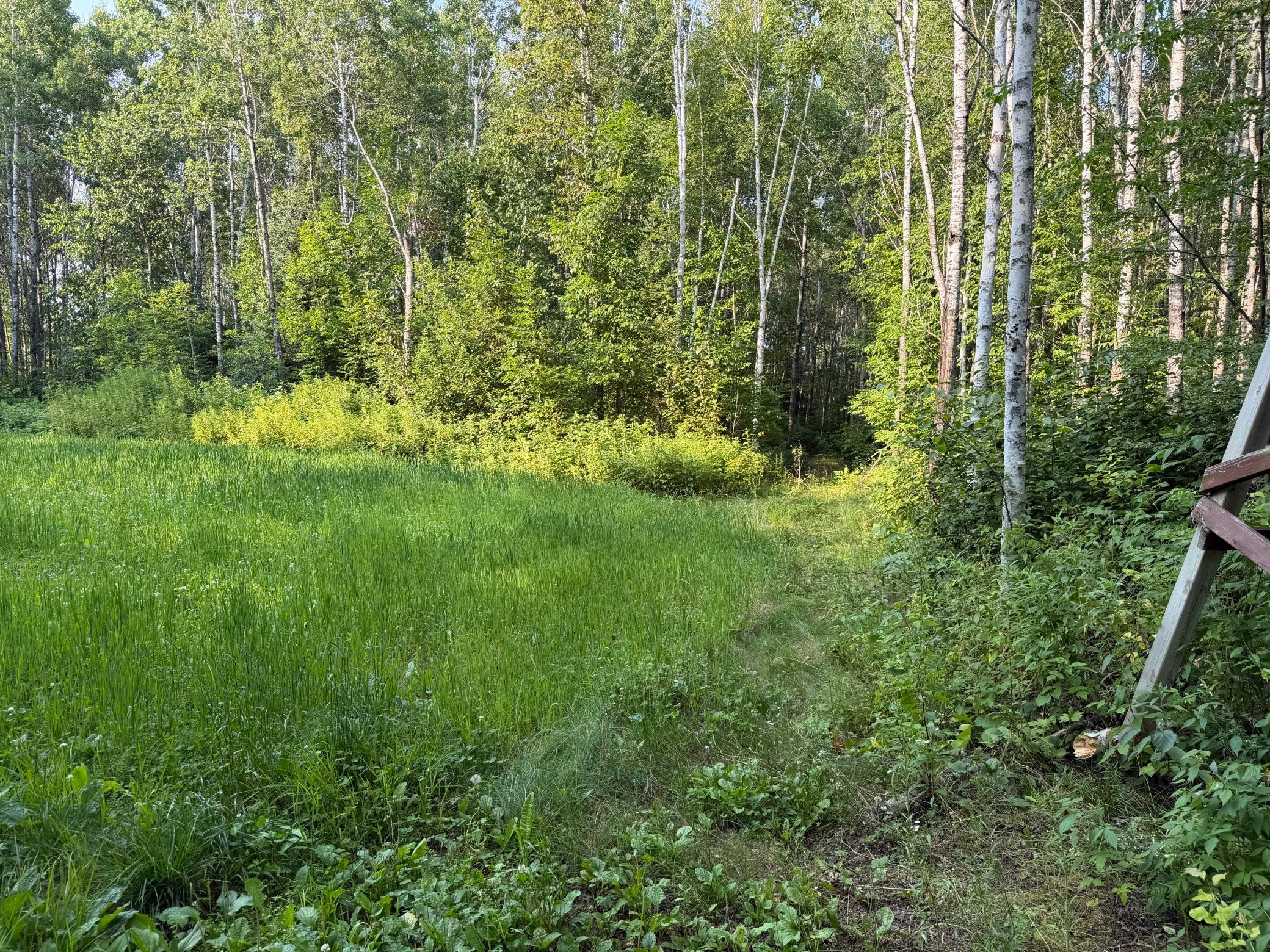 main property photo 57
