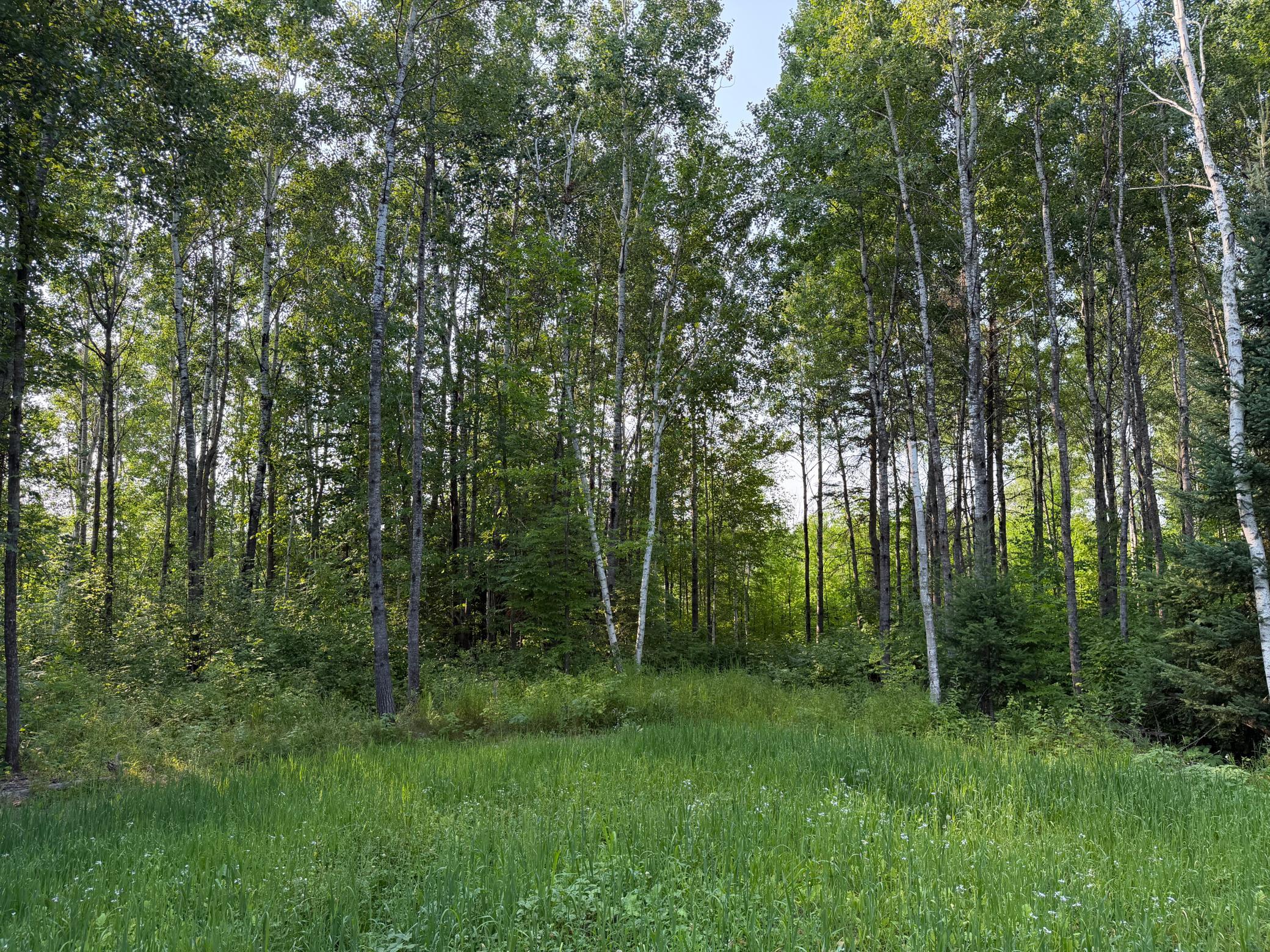 main property photo 58
