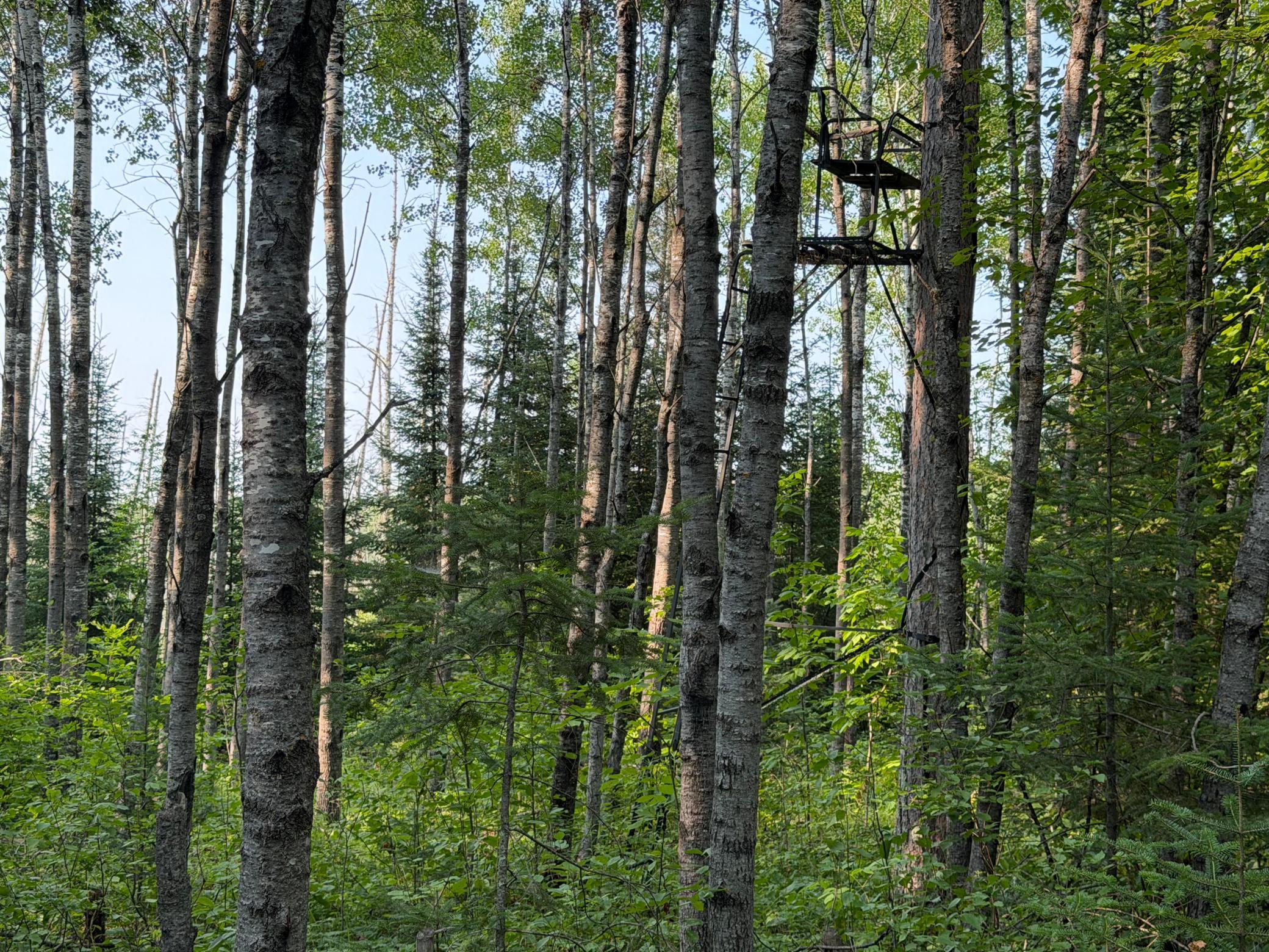 main property photo 59