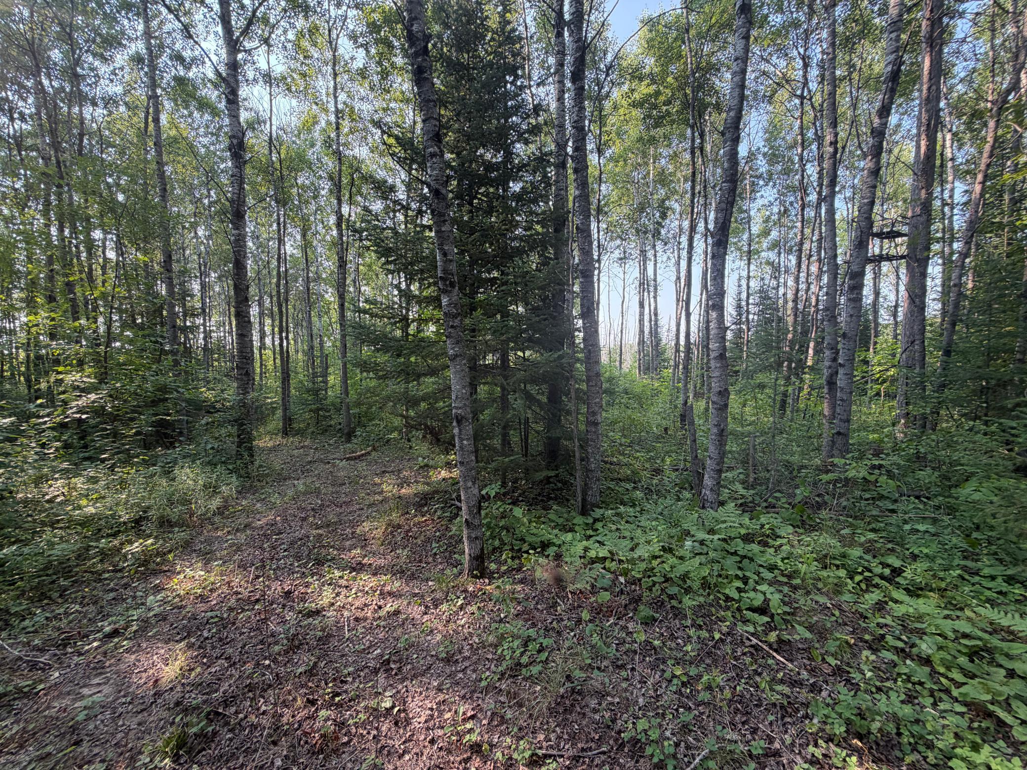 main property photo 60