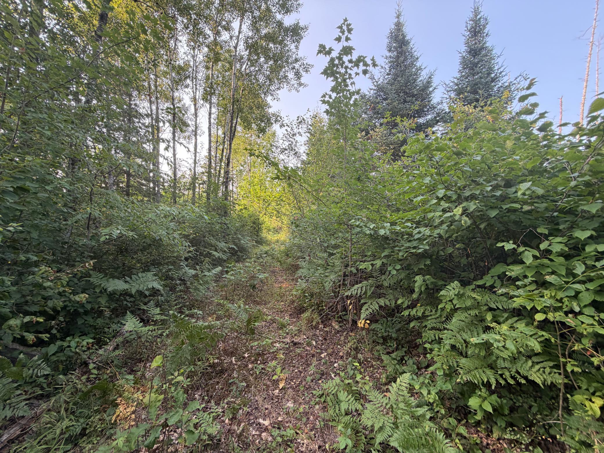 main property photo 61