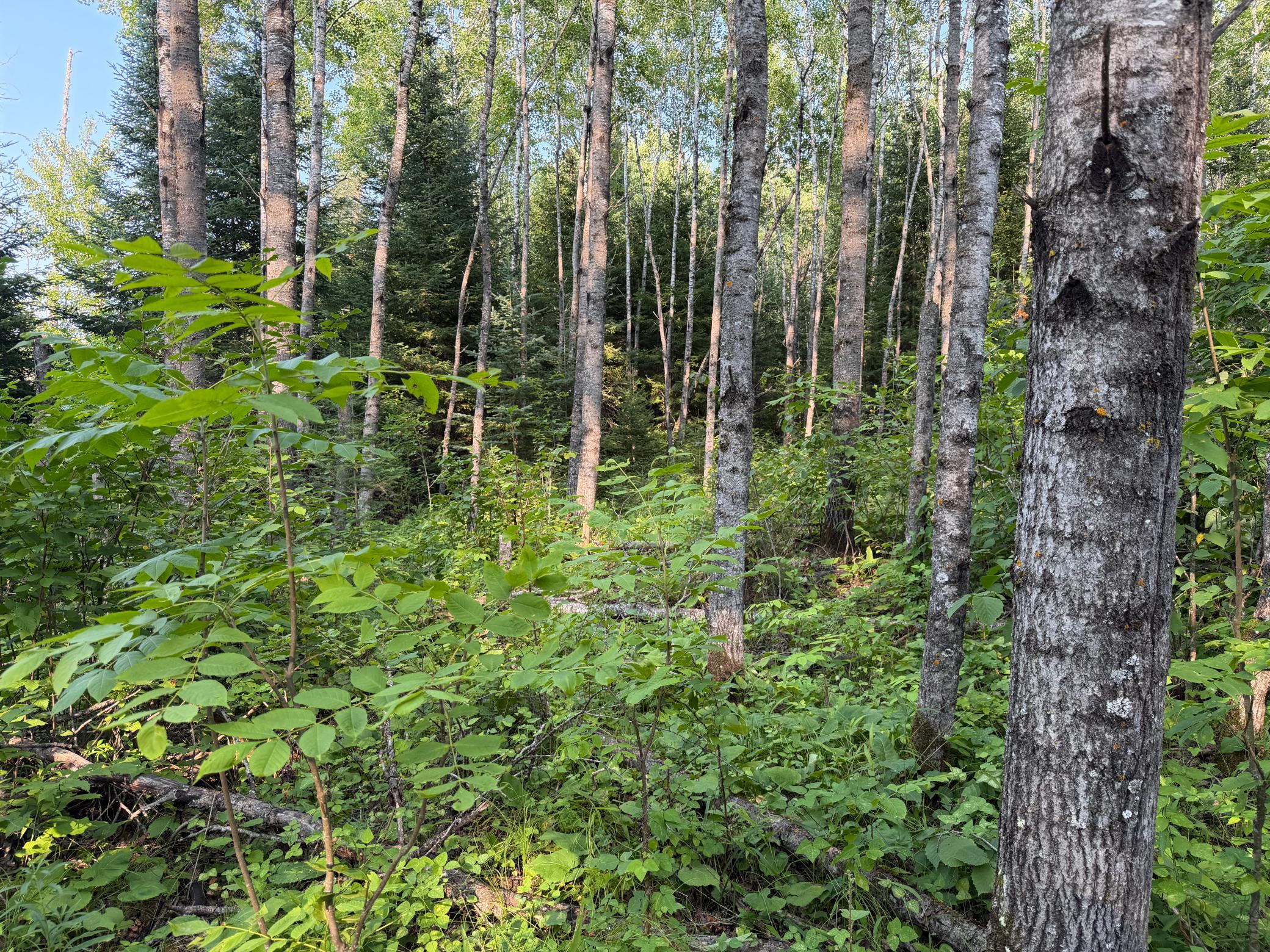 main property photo 62