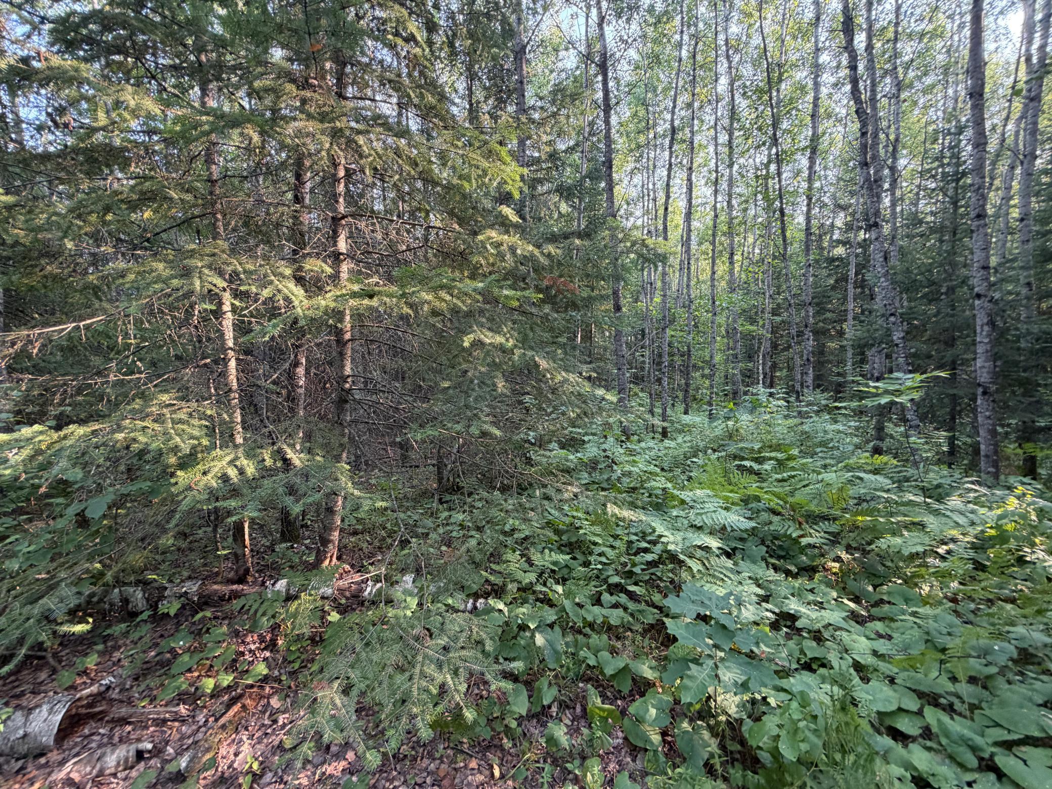 main property photo 63