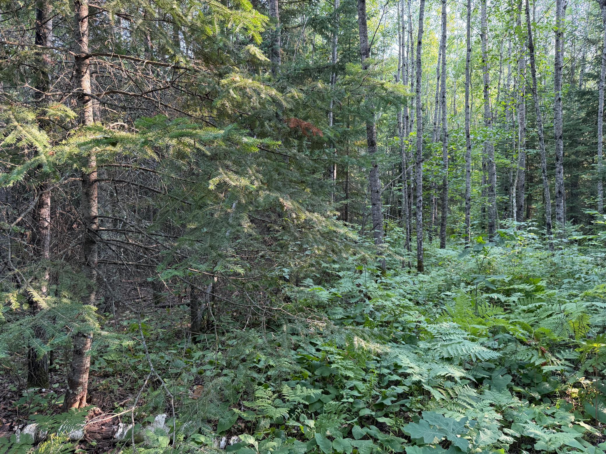 main property photo 64