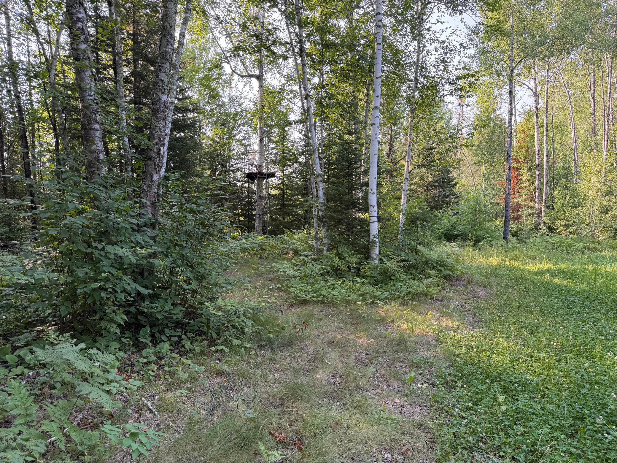 main property photo 67