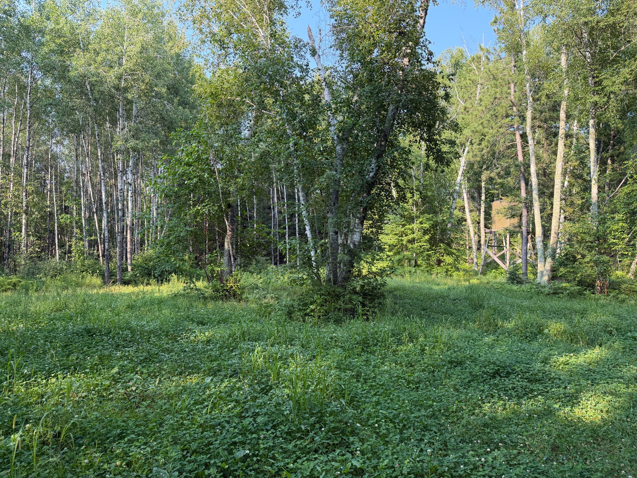 main property photo 68