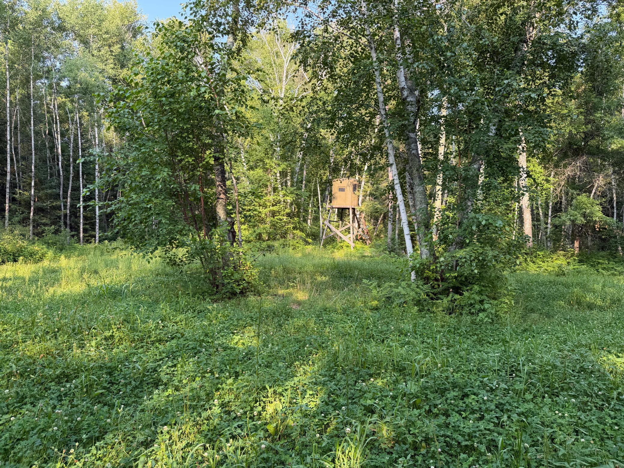 main property photo 69