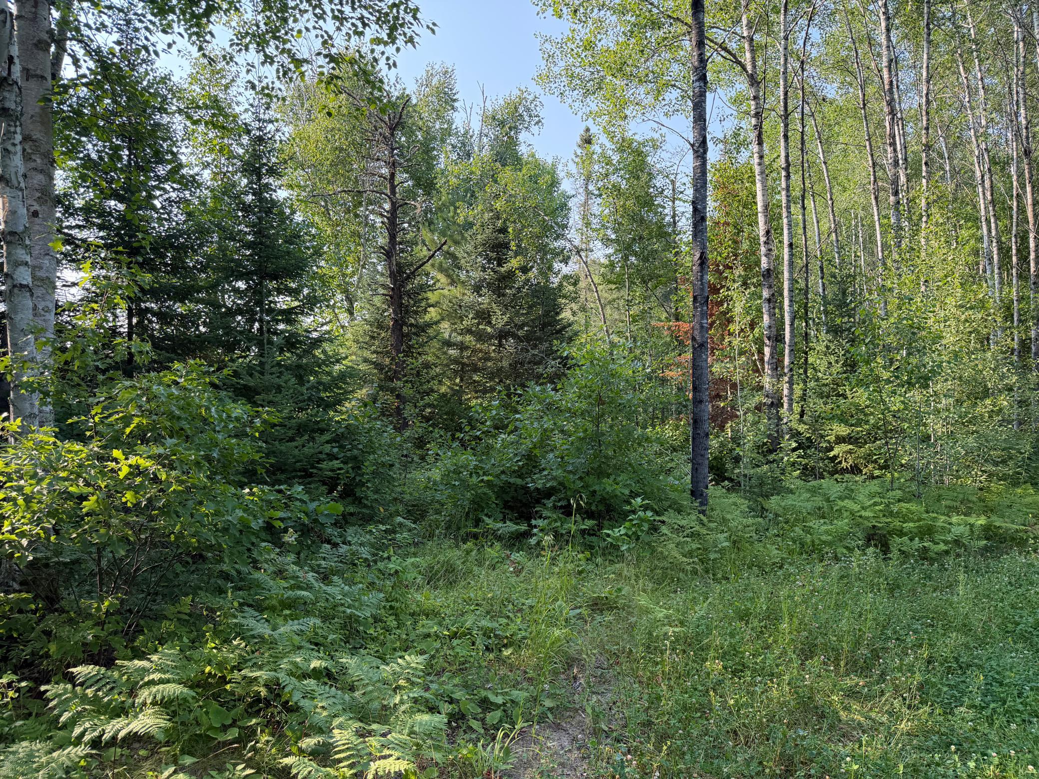 main property photo 70