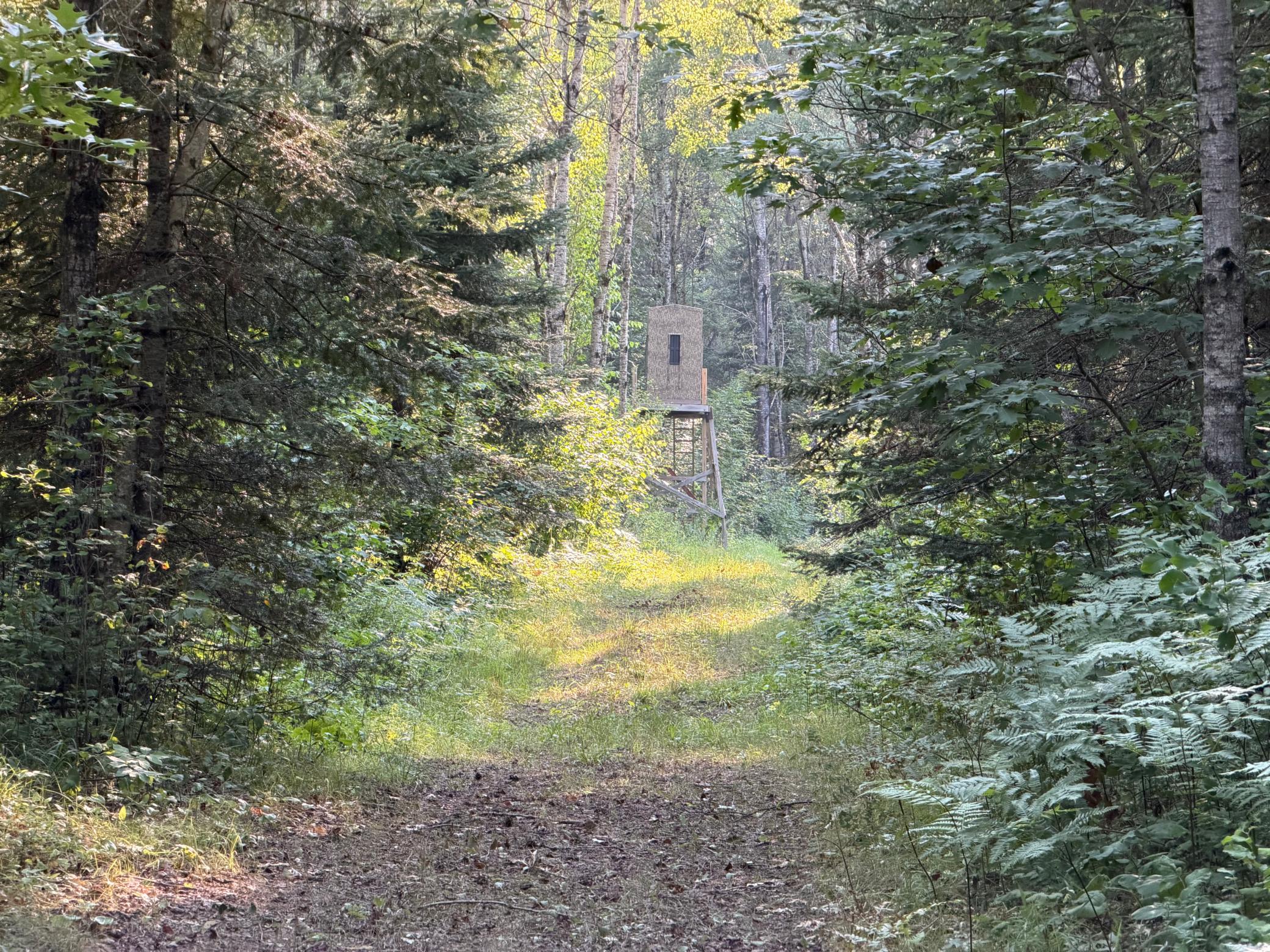 main property photo 71