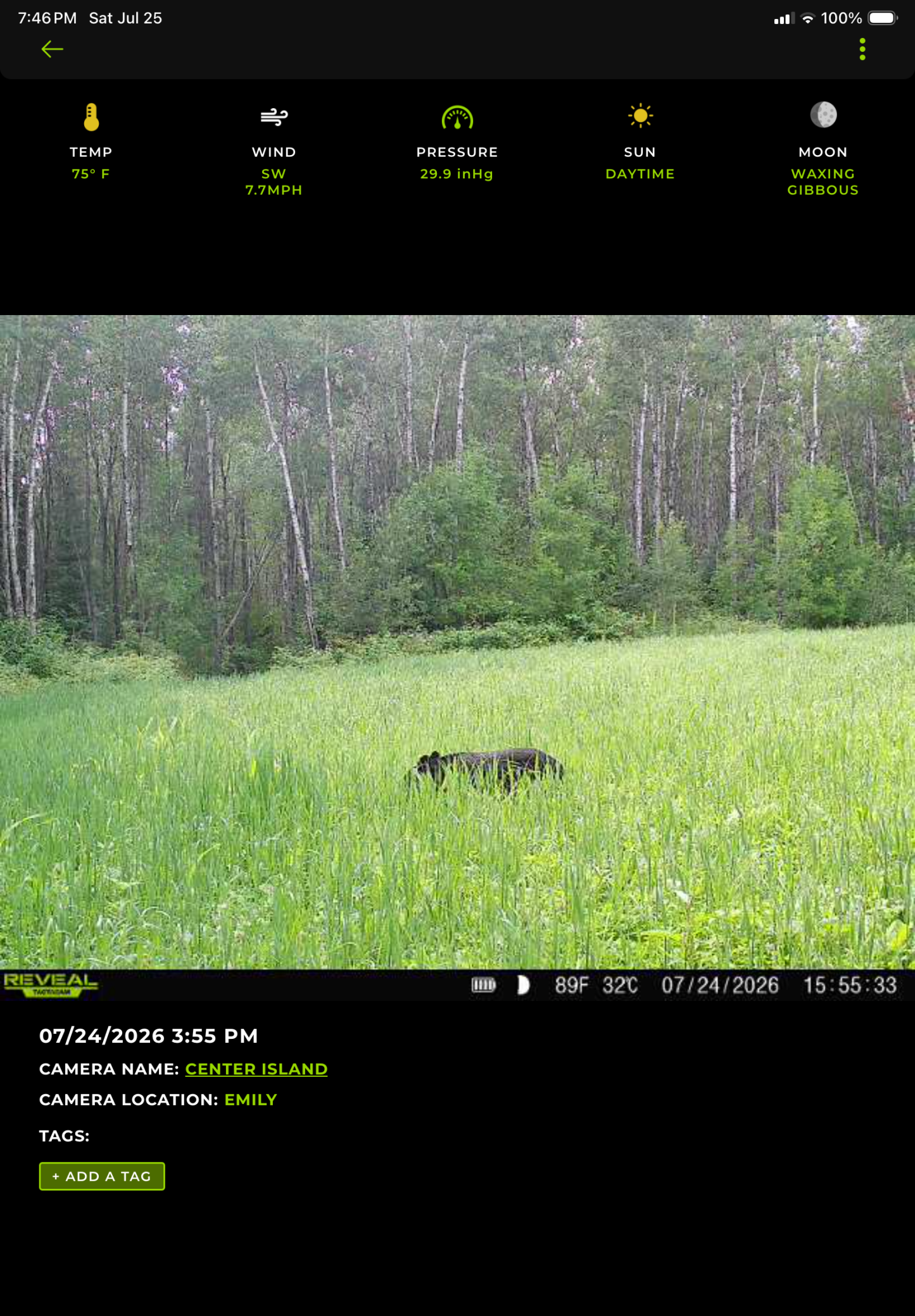 main property photo 75