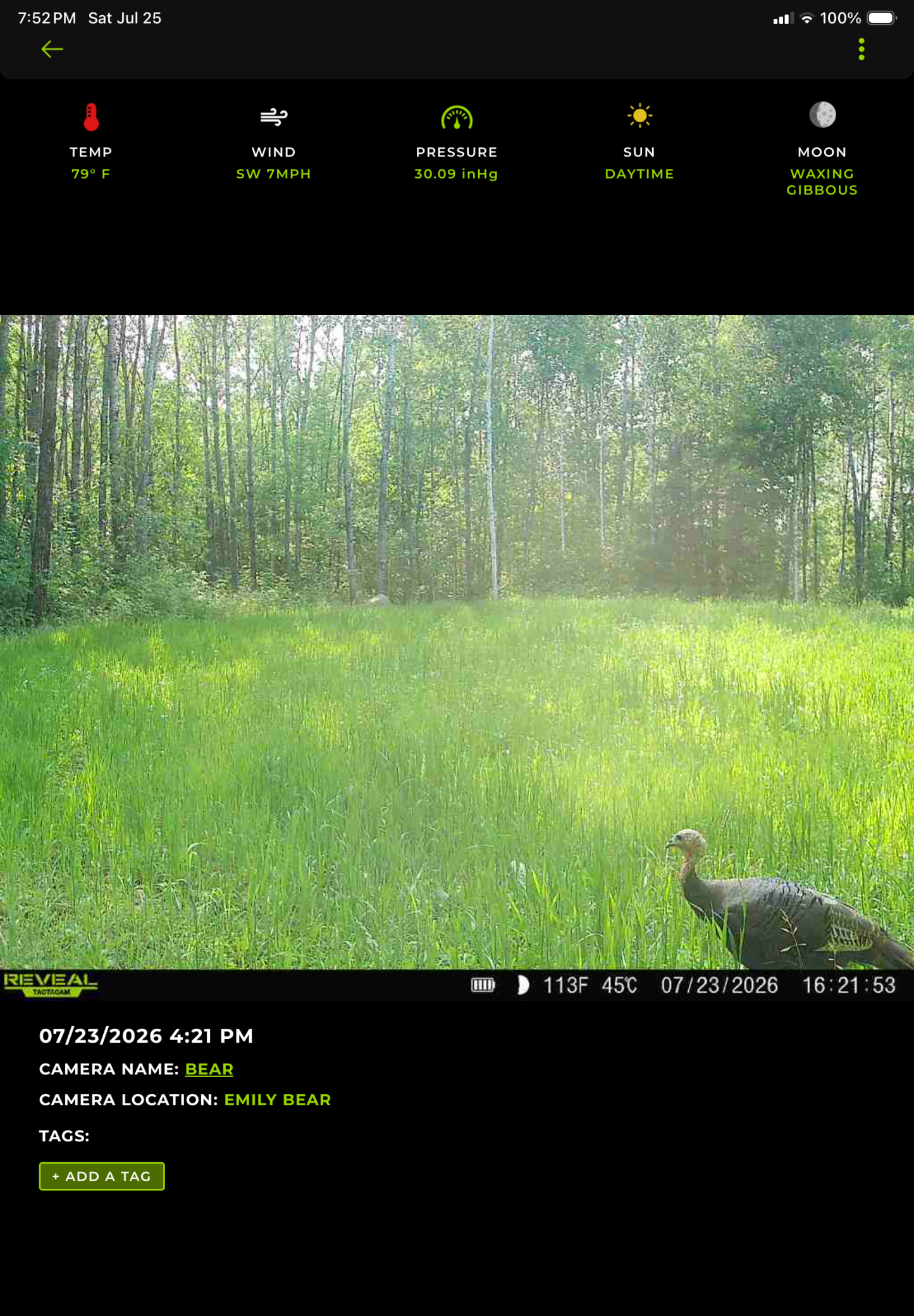 main property photo 77