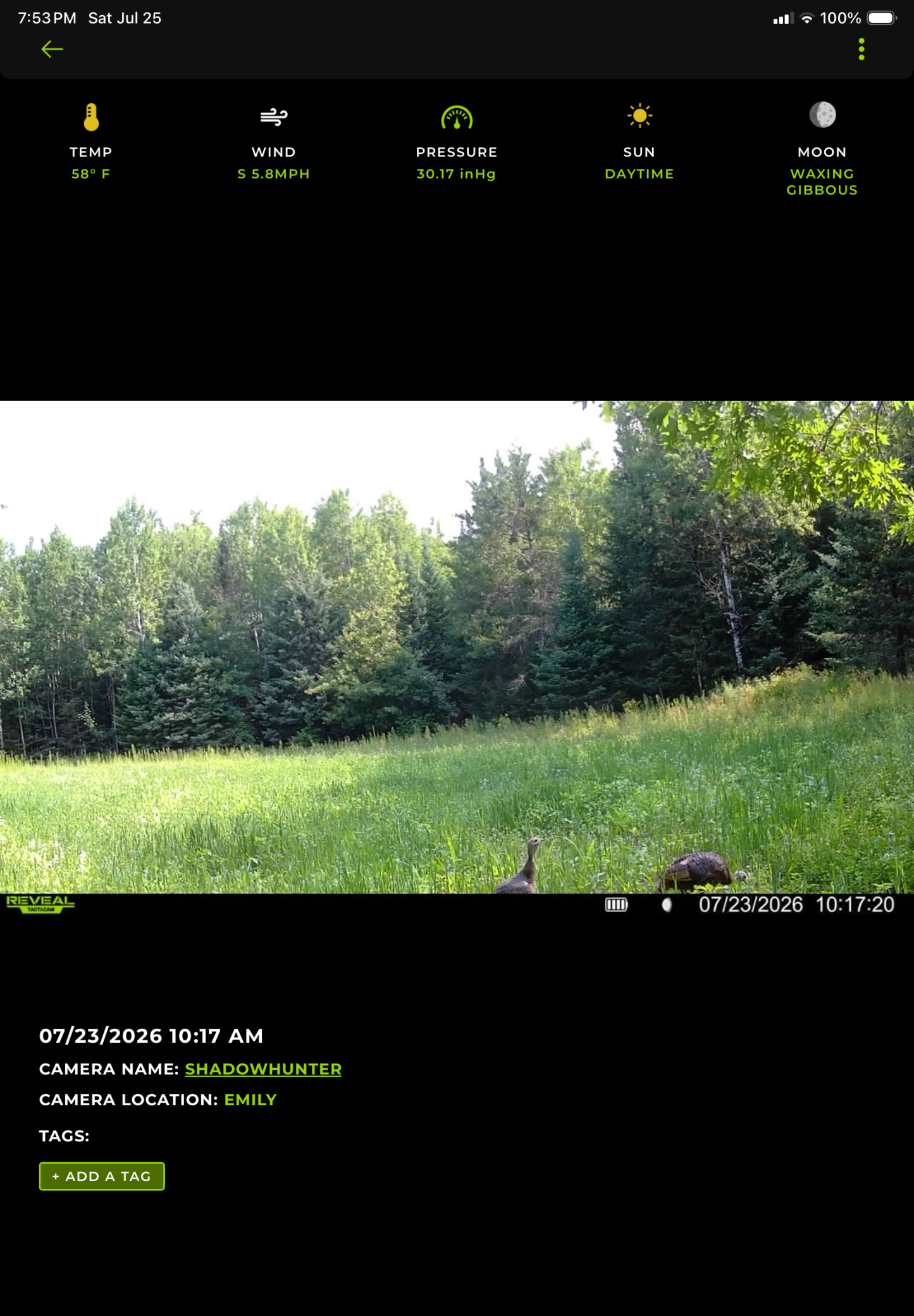 main property photo 78