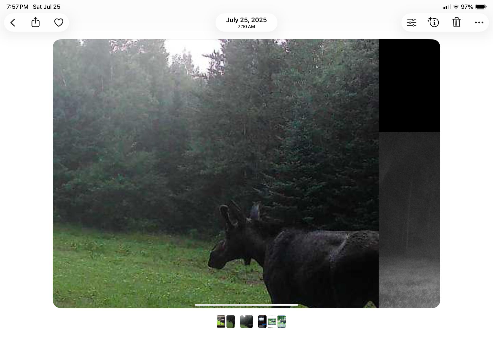 main property photo 82