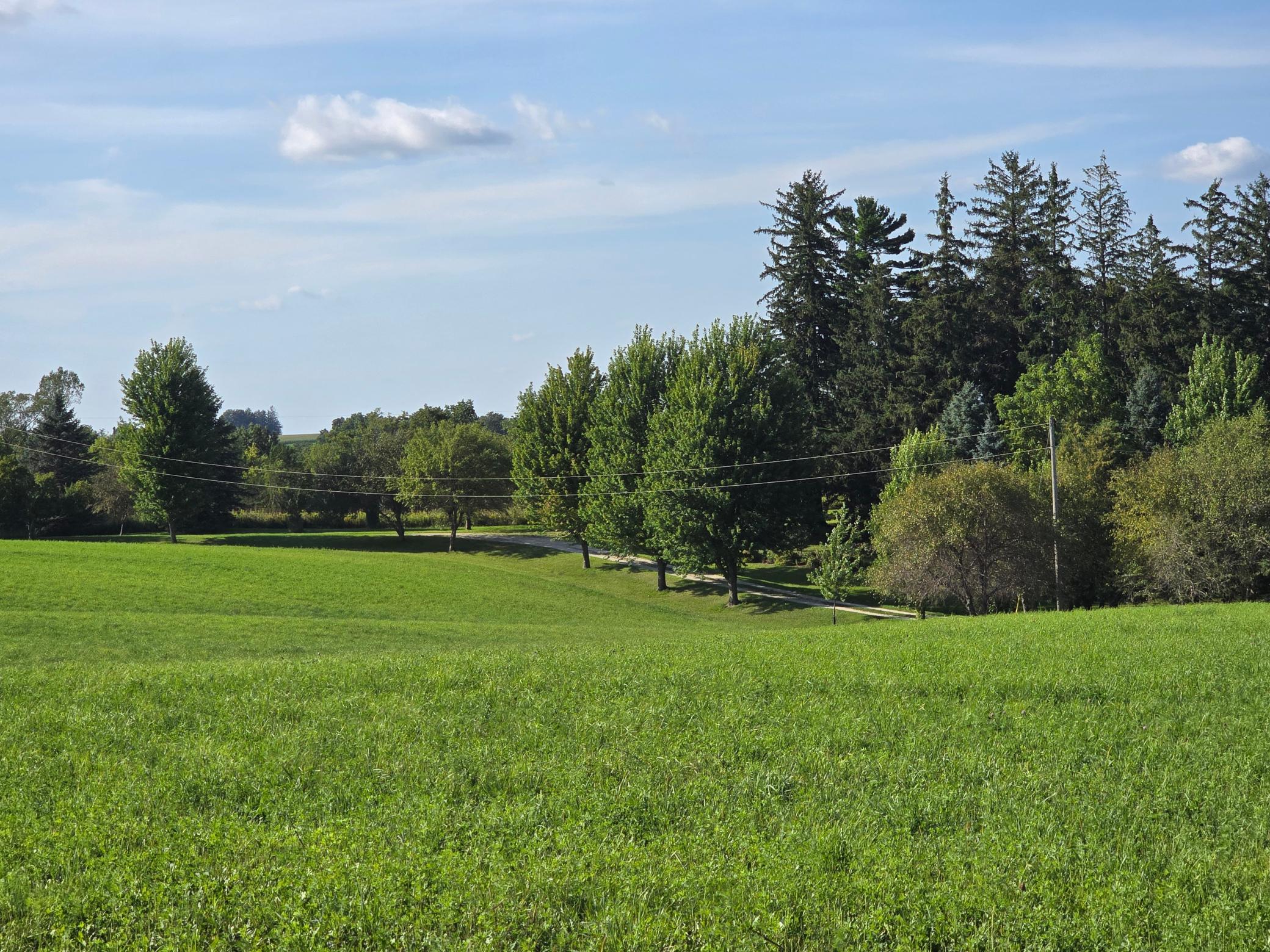 main property photo 102