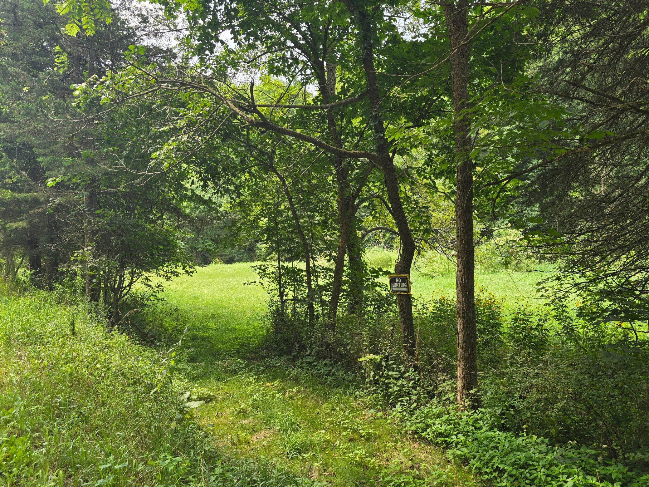 main property photo 106
