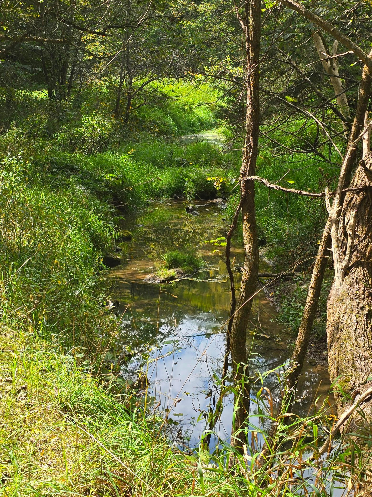 main property photo 107