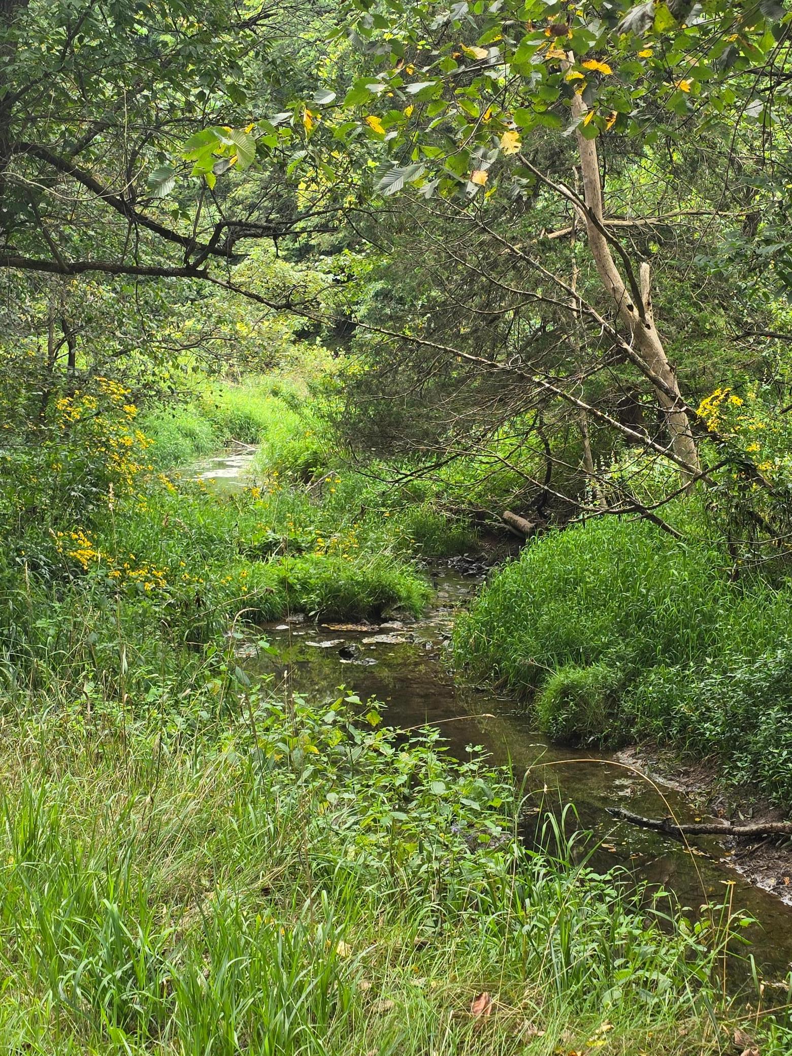 main property photo 108