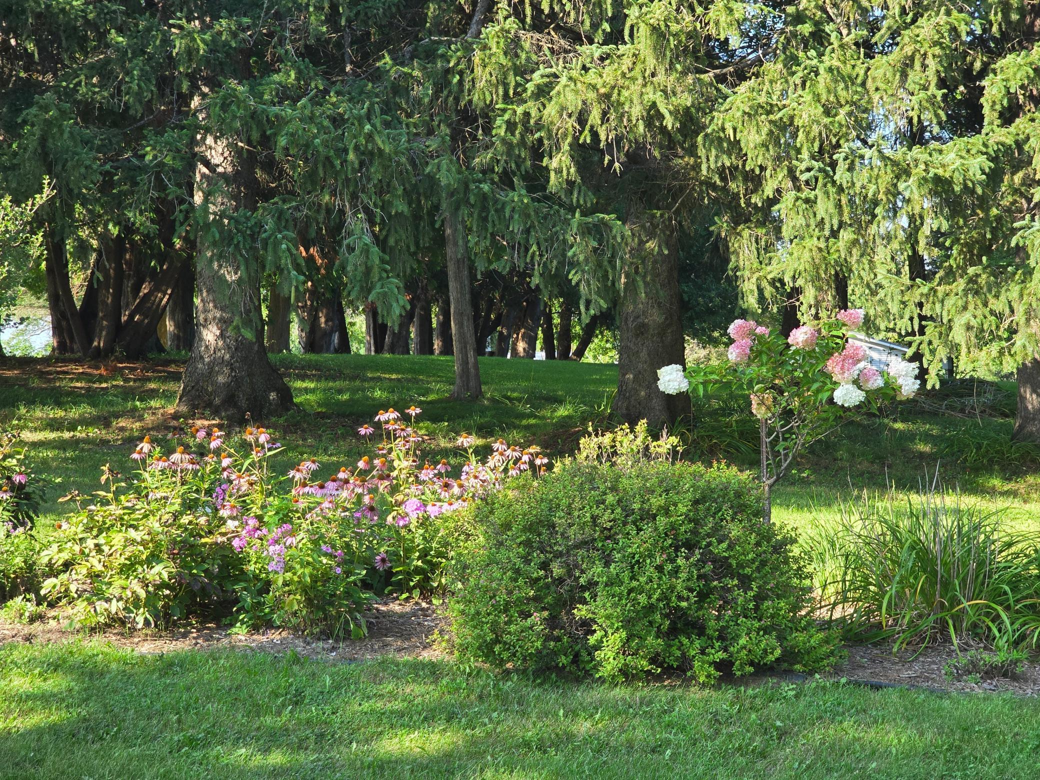 main property photo 83