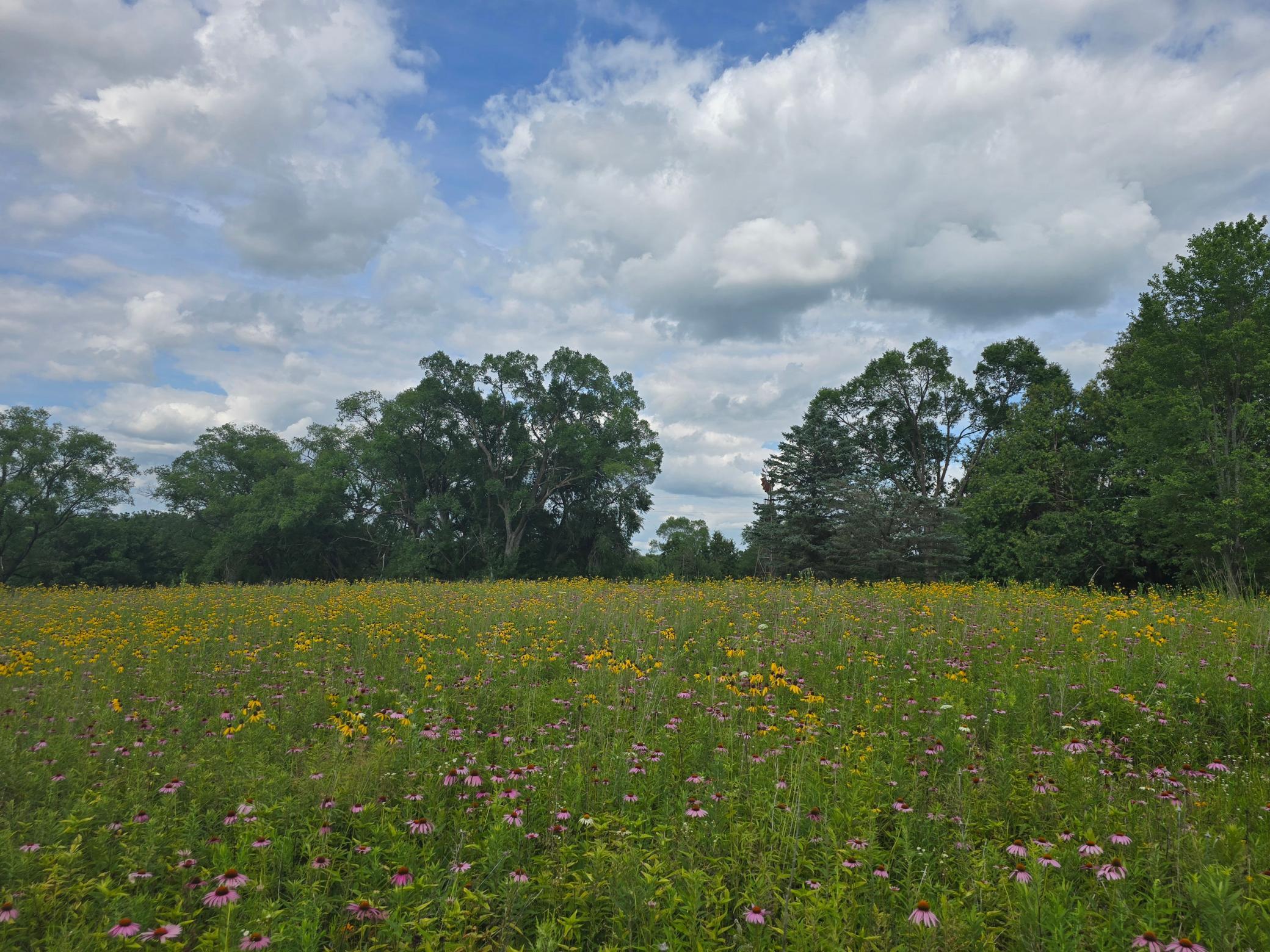 main property photo 99