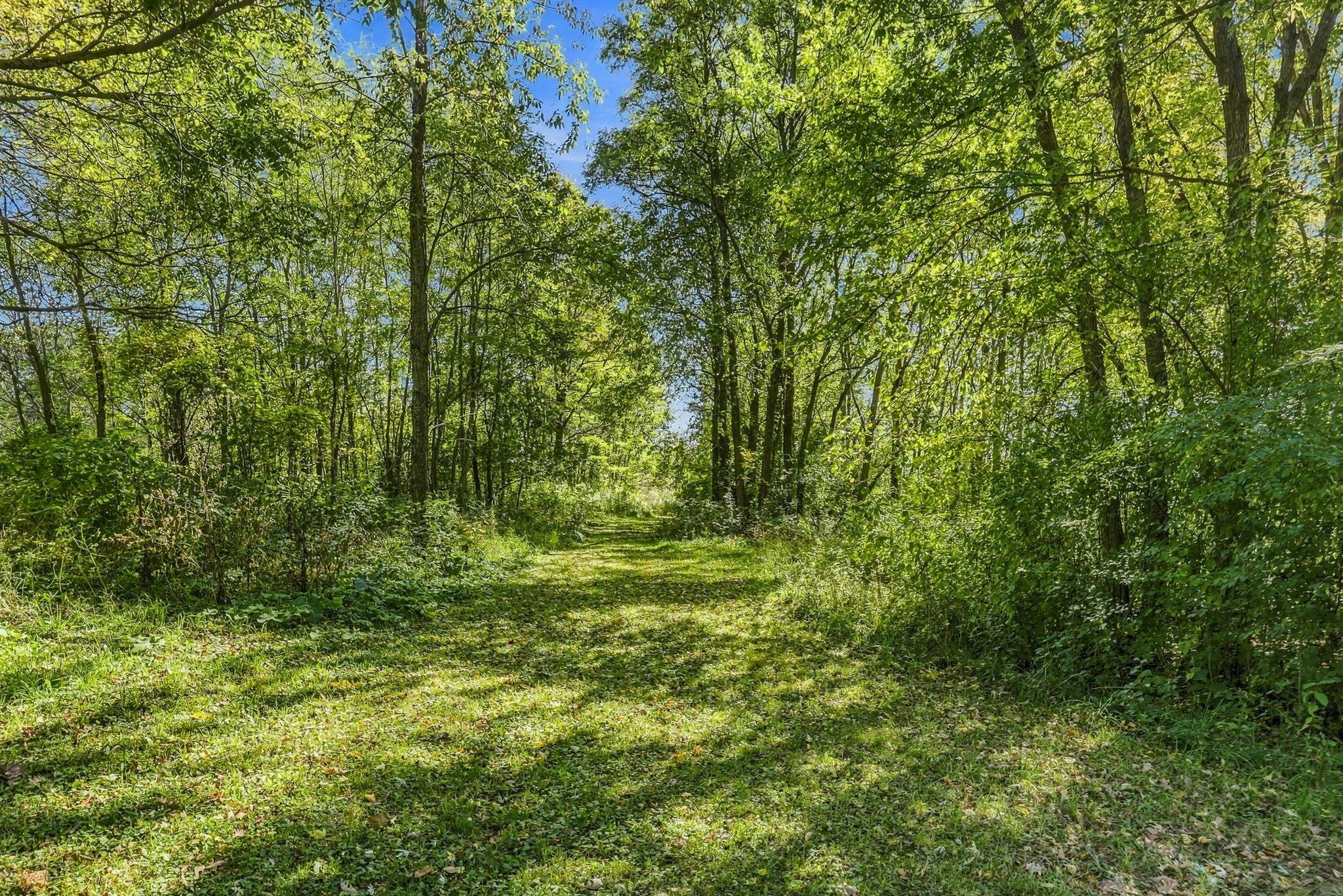 main property photo 17