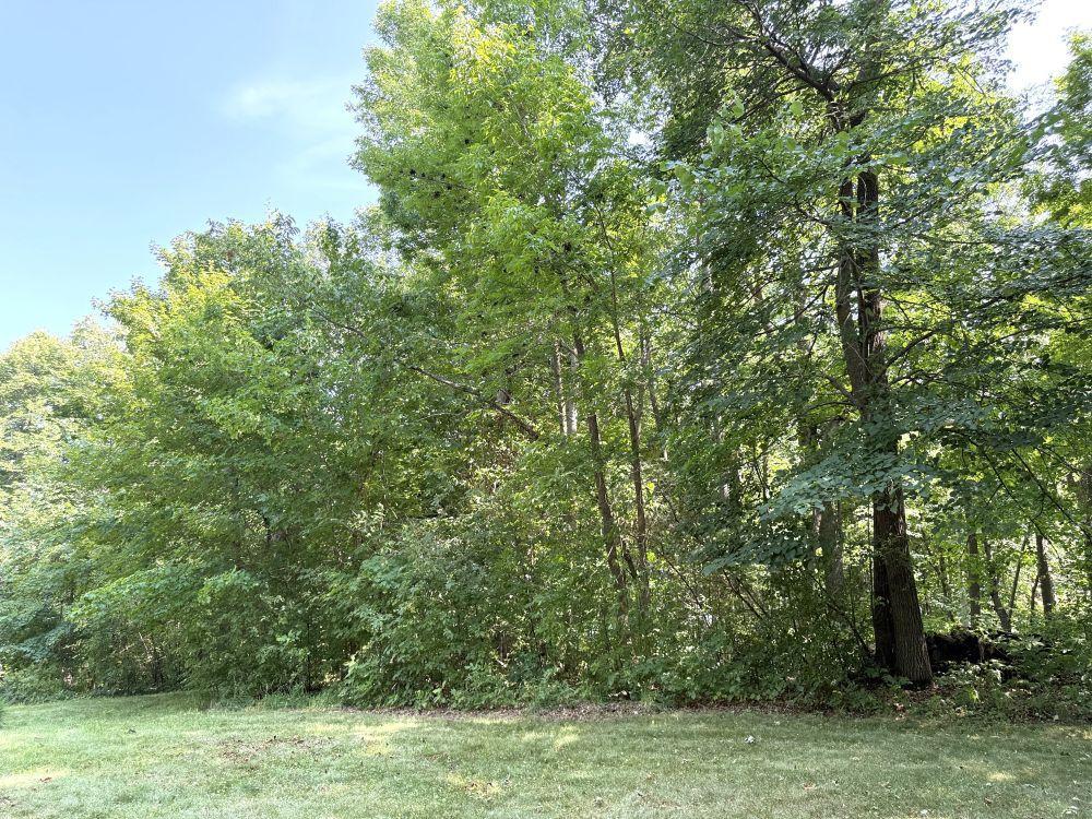 main property photo 58