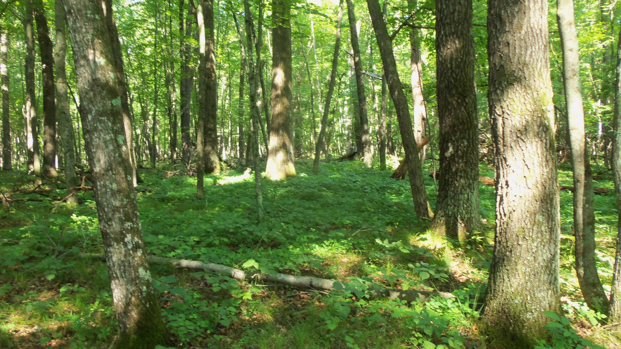 main property photo 8
