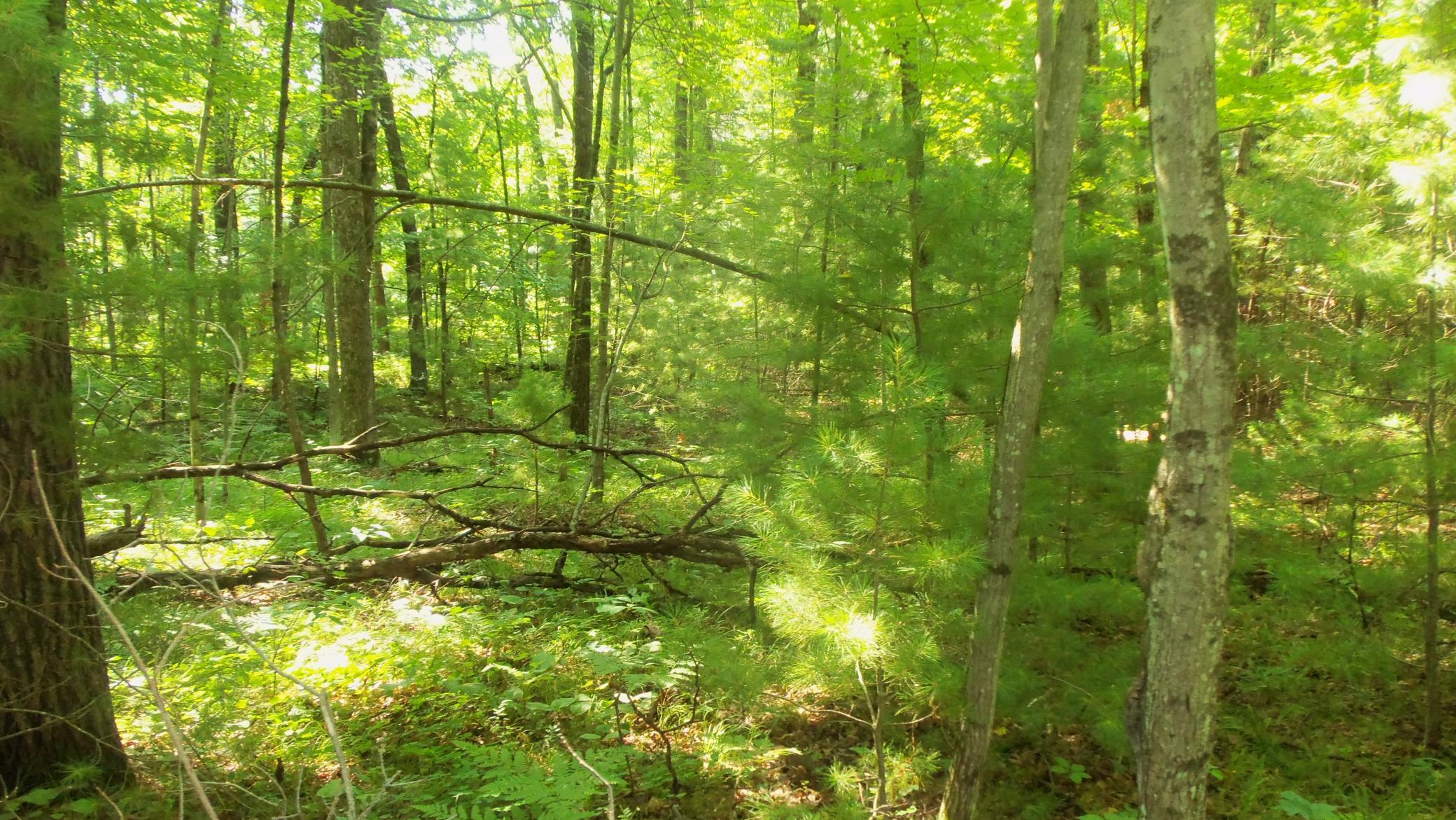 main property photo 6
