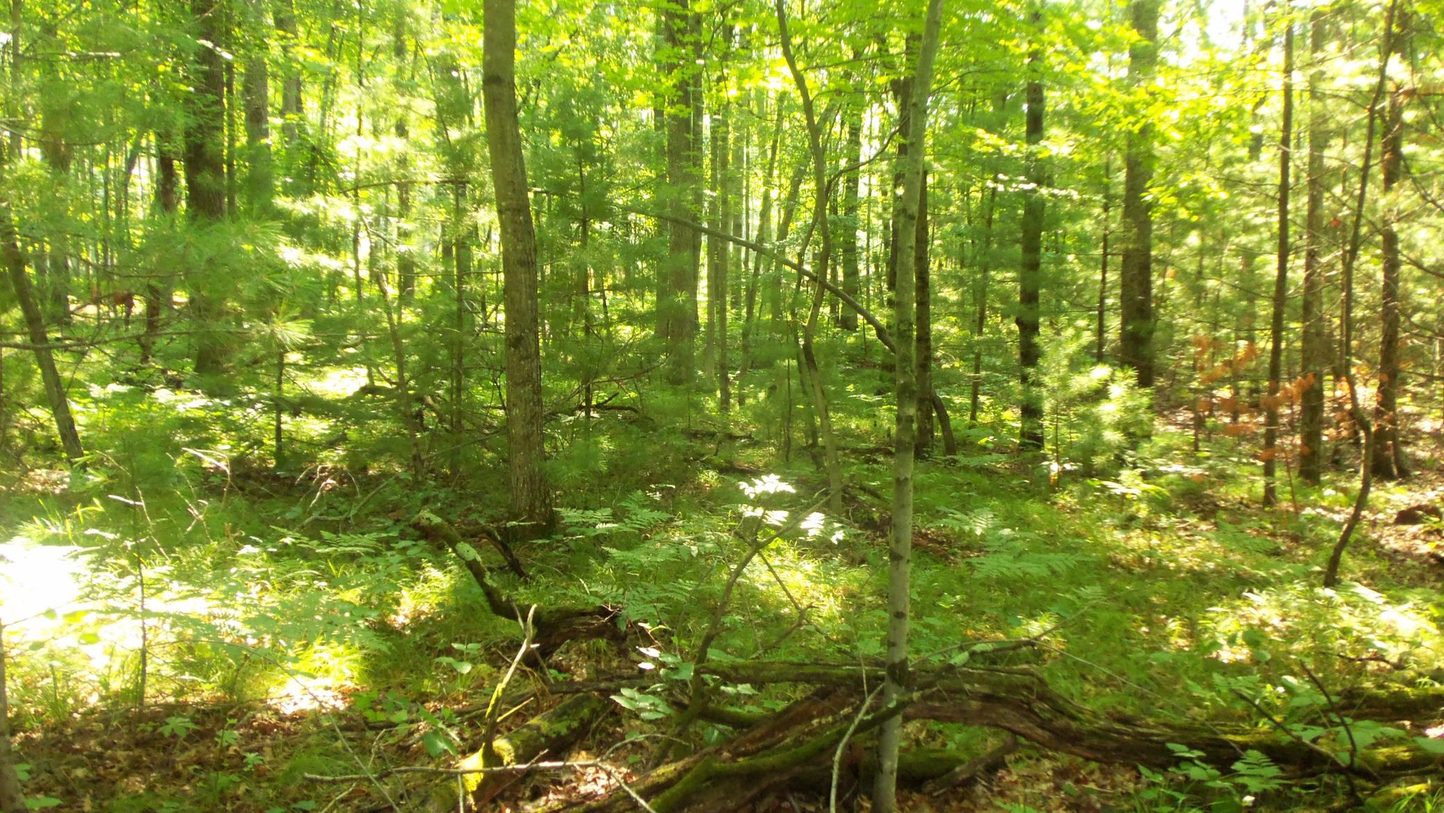 main property photo 8
