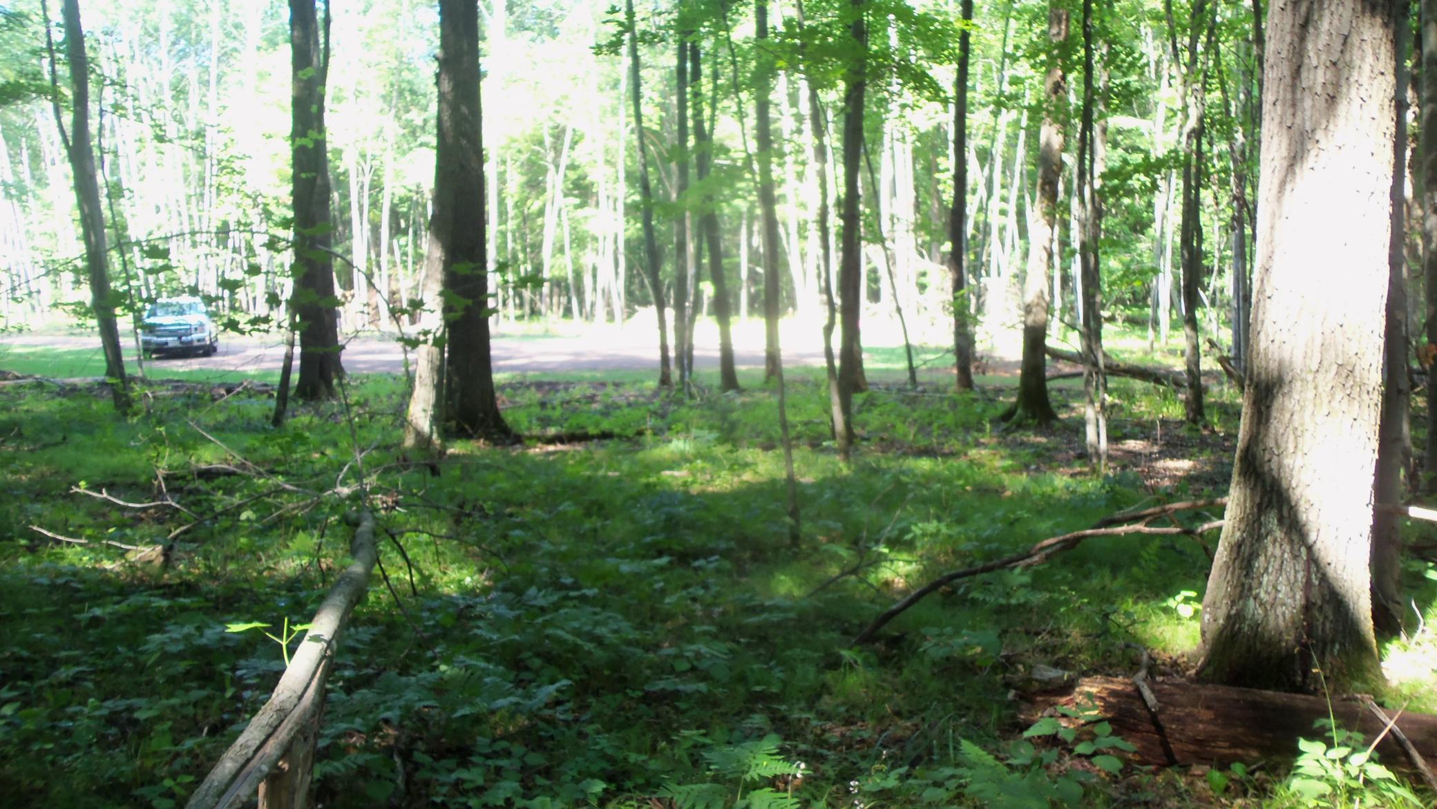 main property photo 6