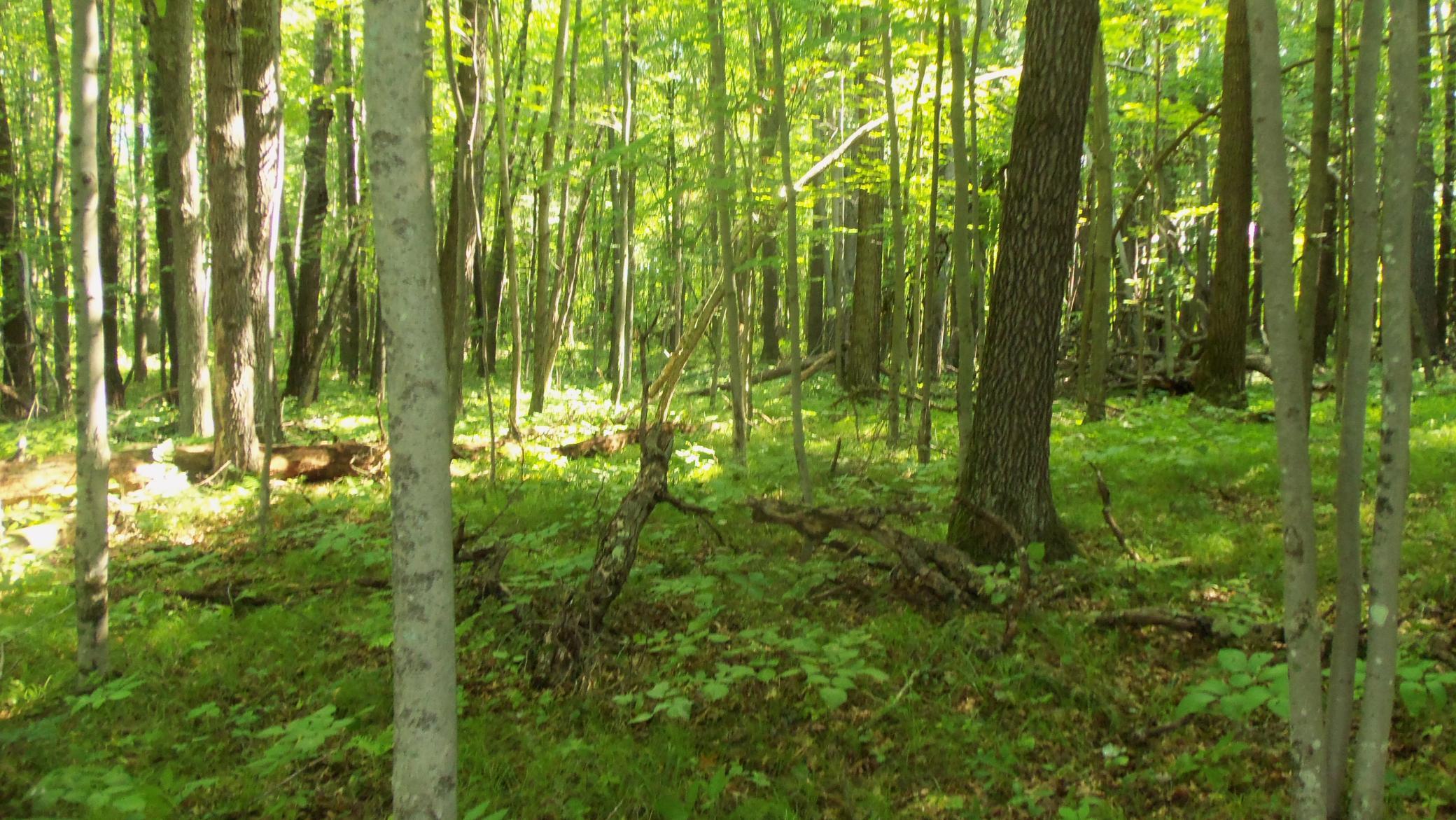 main property photo 8