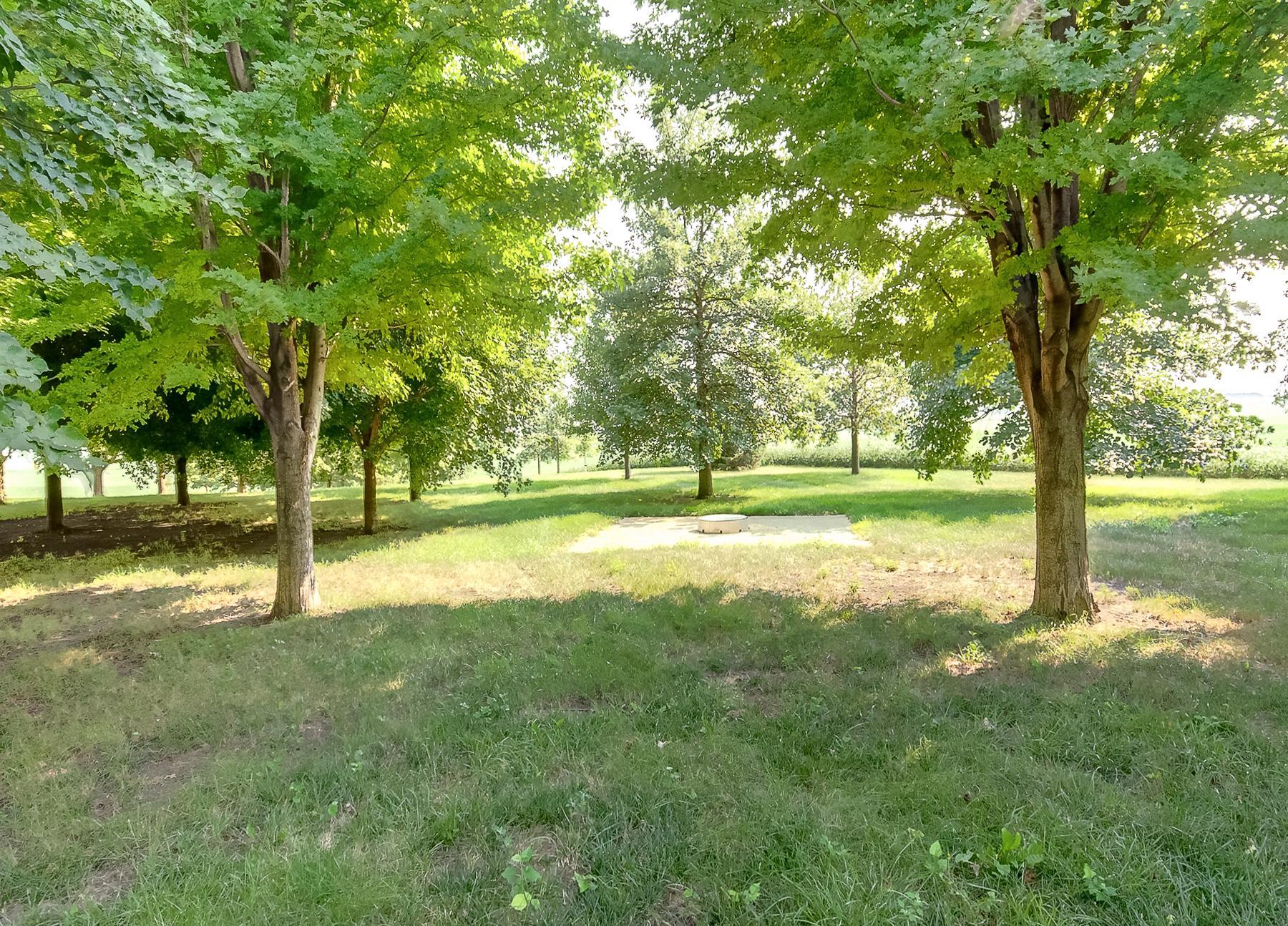 main property photo 33
