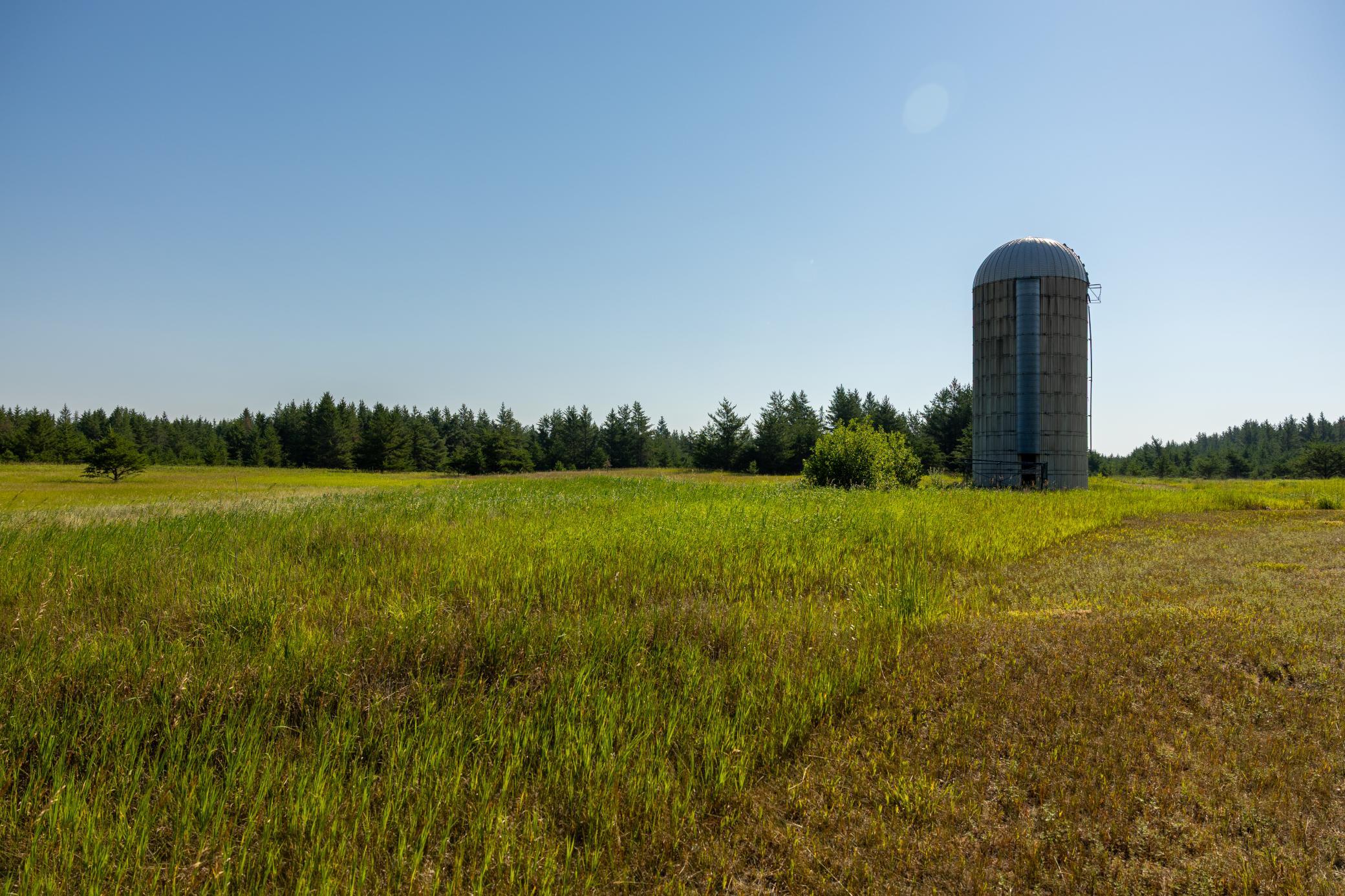 main property photo 41