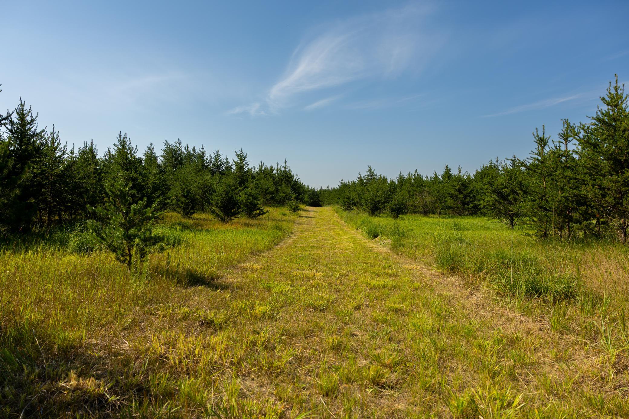 main property photo 54