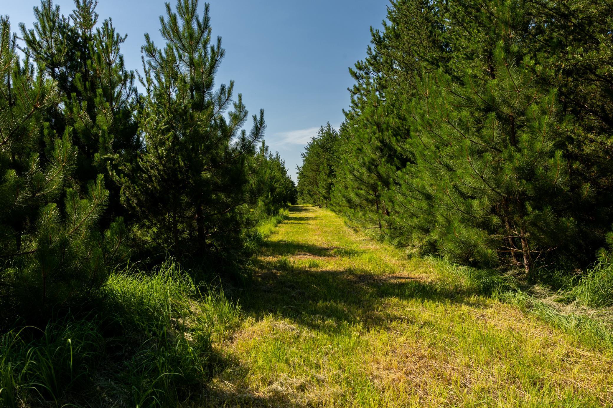 main property photo 55