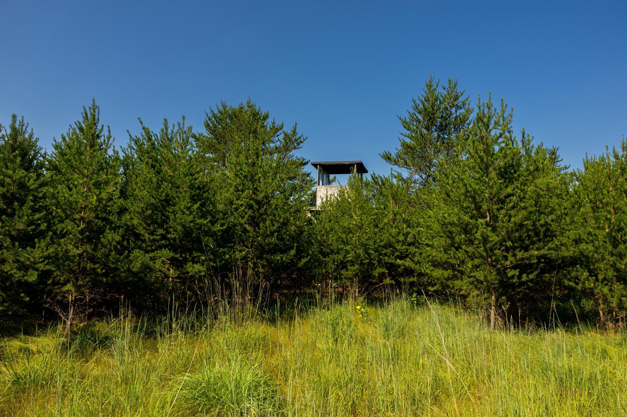 main property photo 56