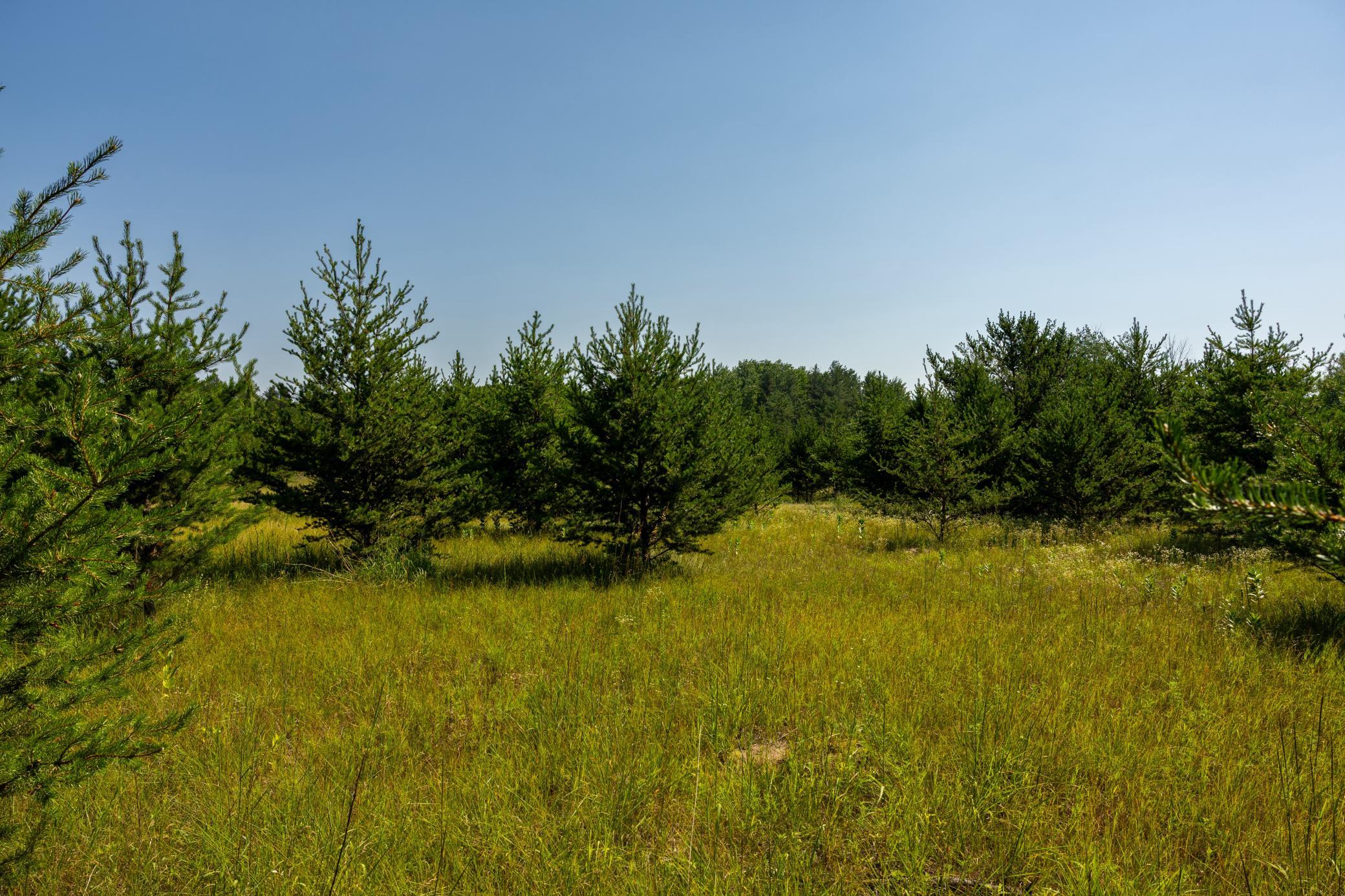 main property photo 58