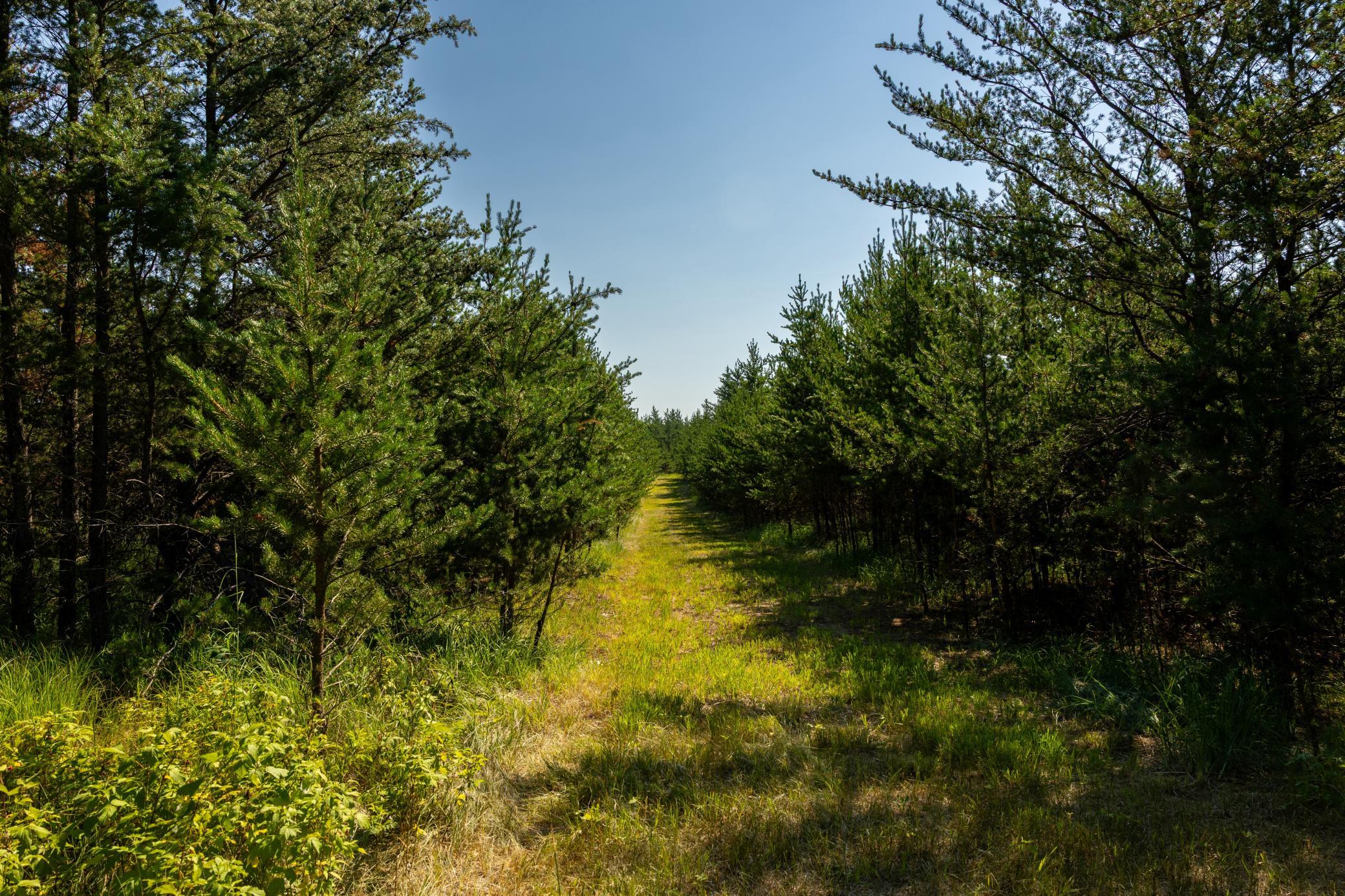 main property photo 60
