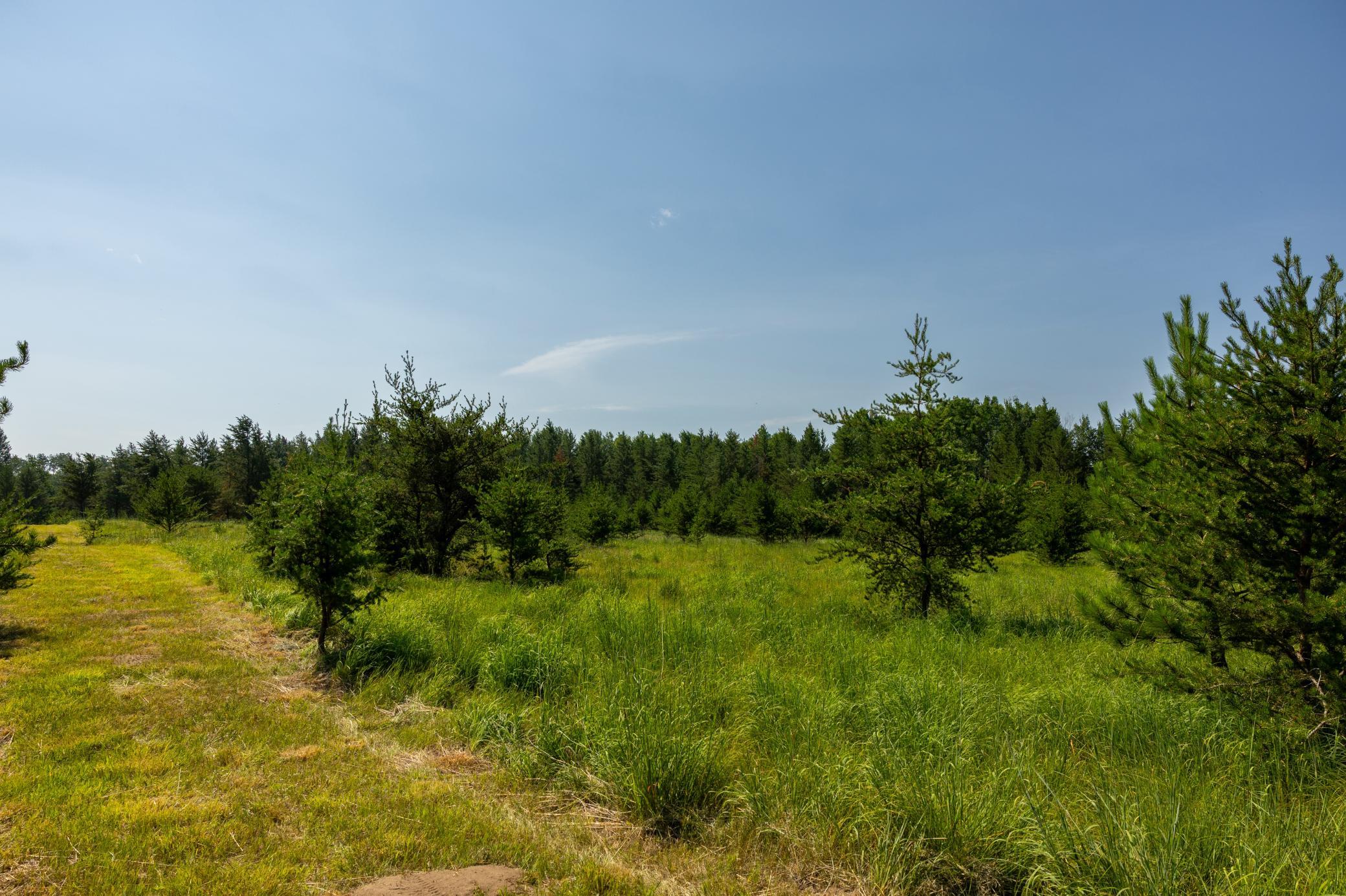 main property photo 65
