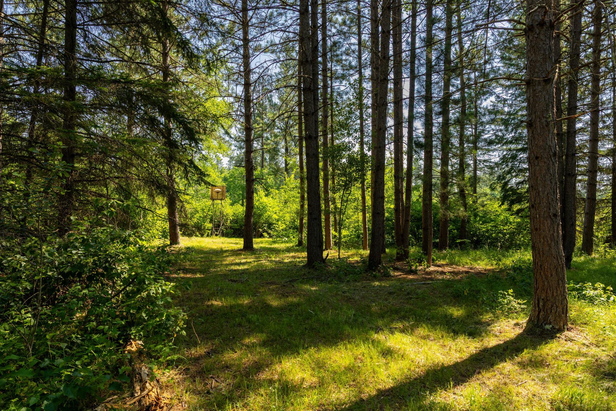 main property photo 68