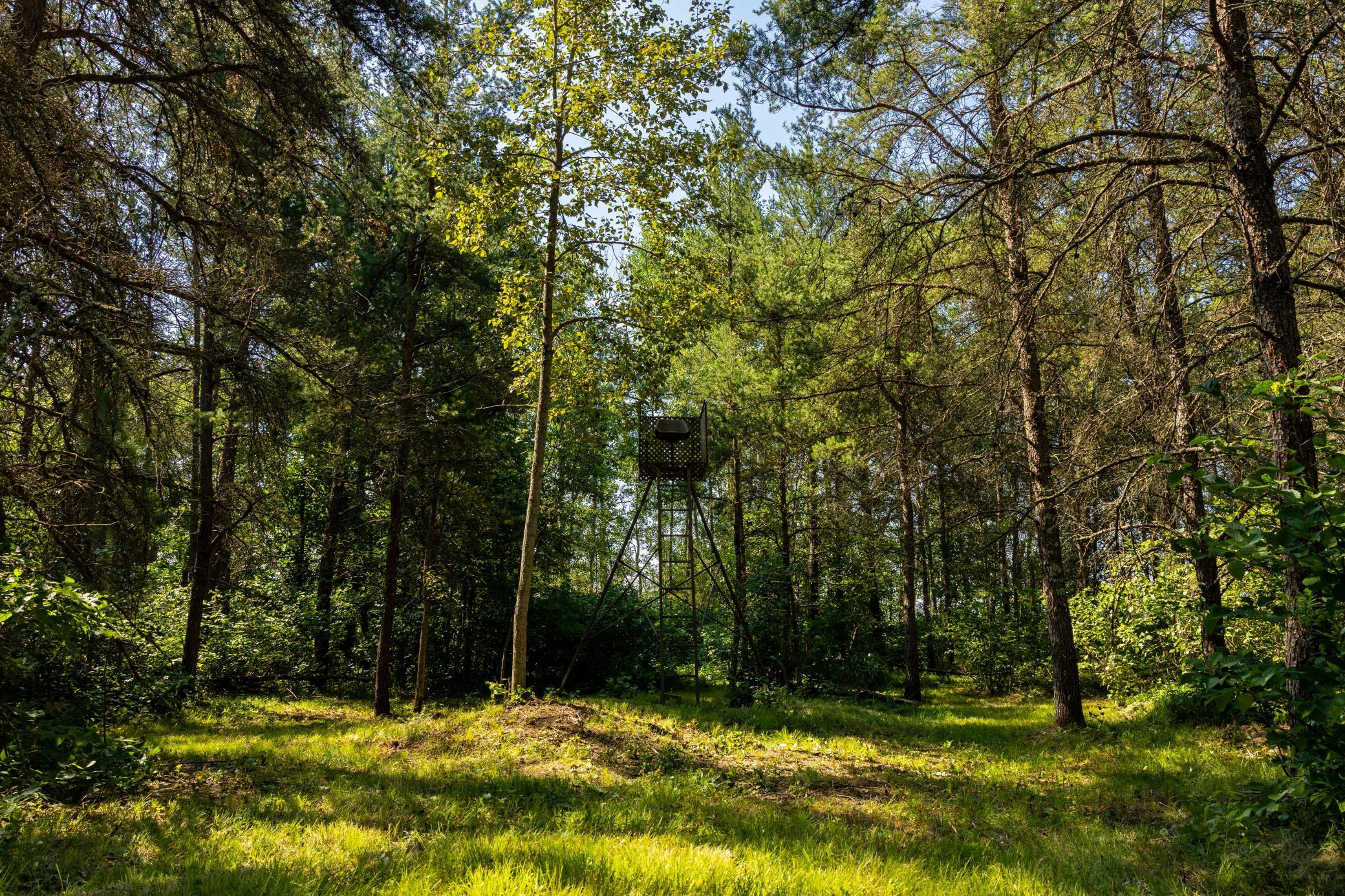 main property photo 69