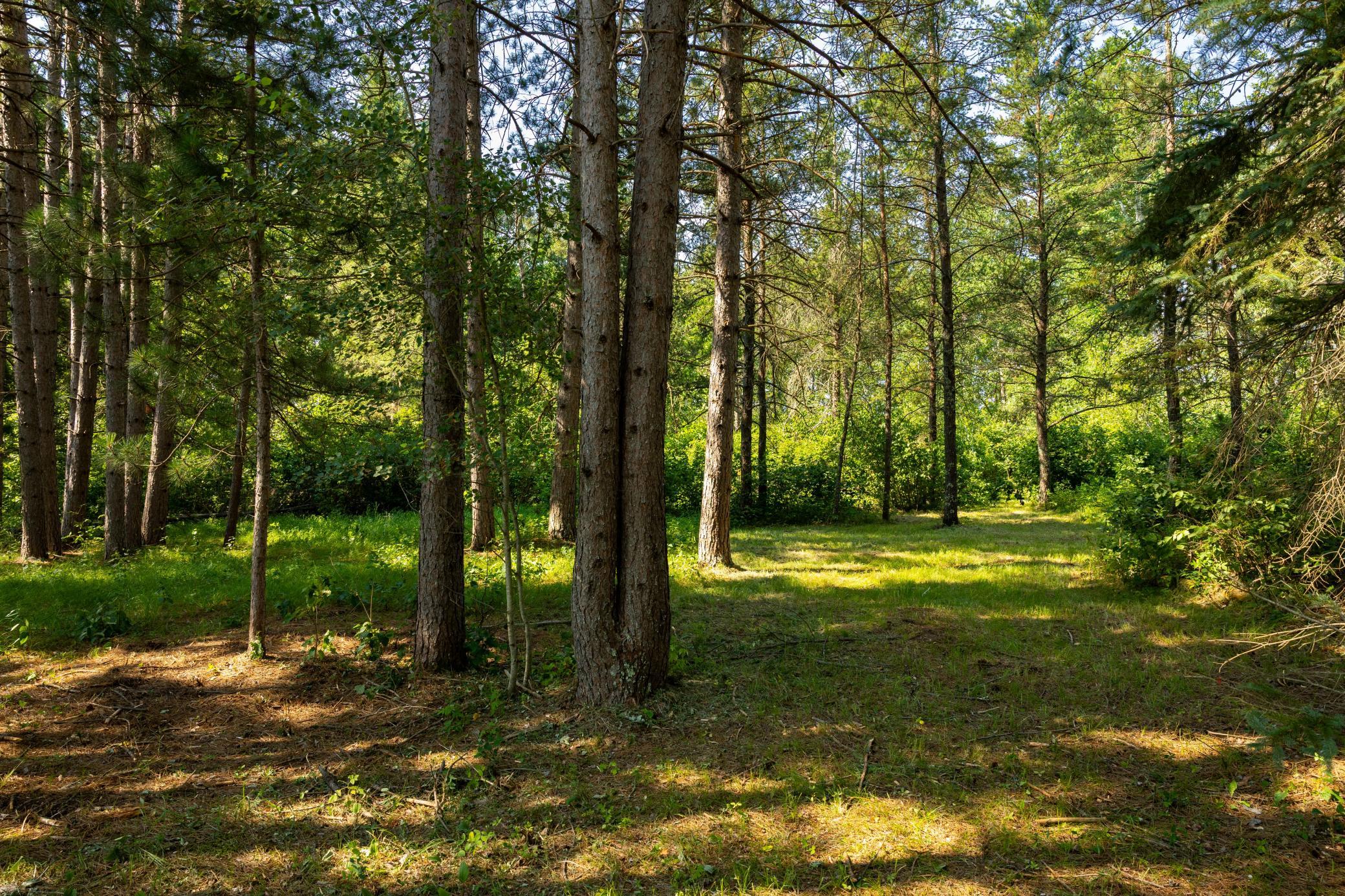 main property photo 71