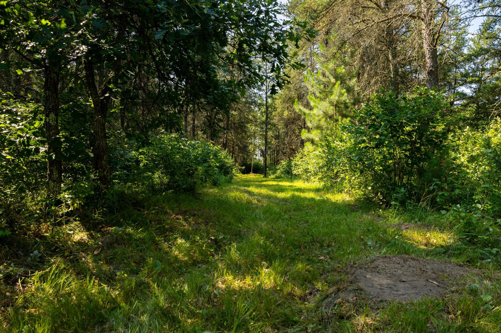 main property photo 73