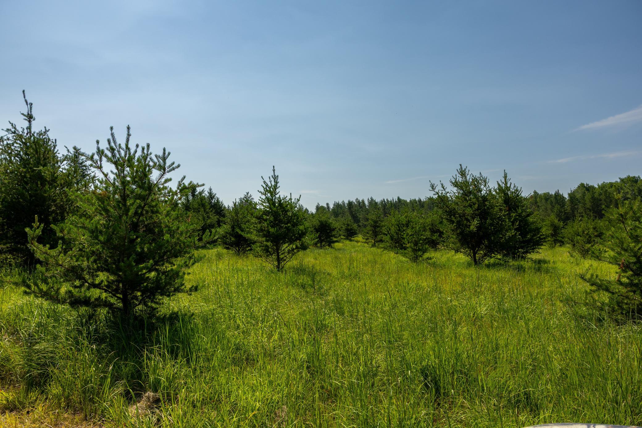 main property photo 80